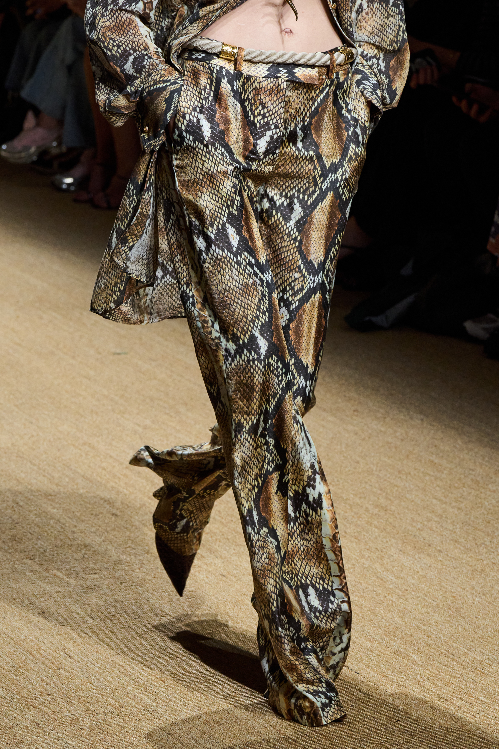 Roberto Cavalli Spring 2025 Fashion Show Details