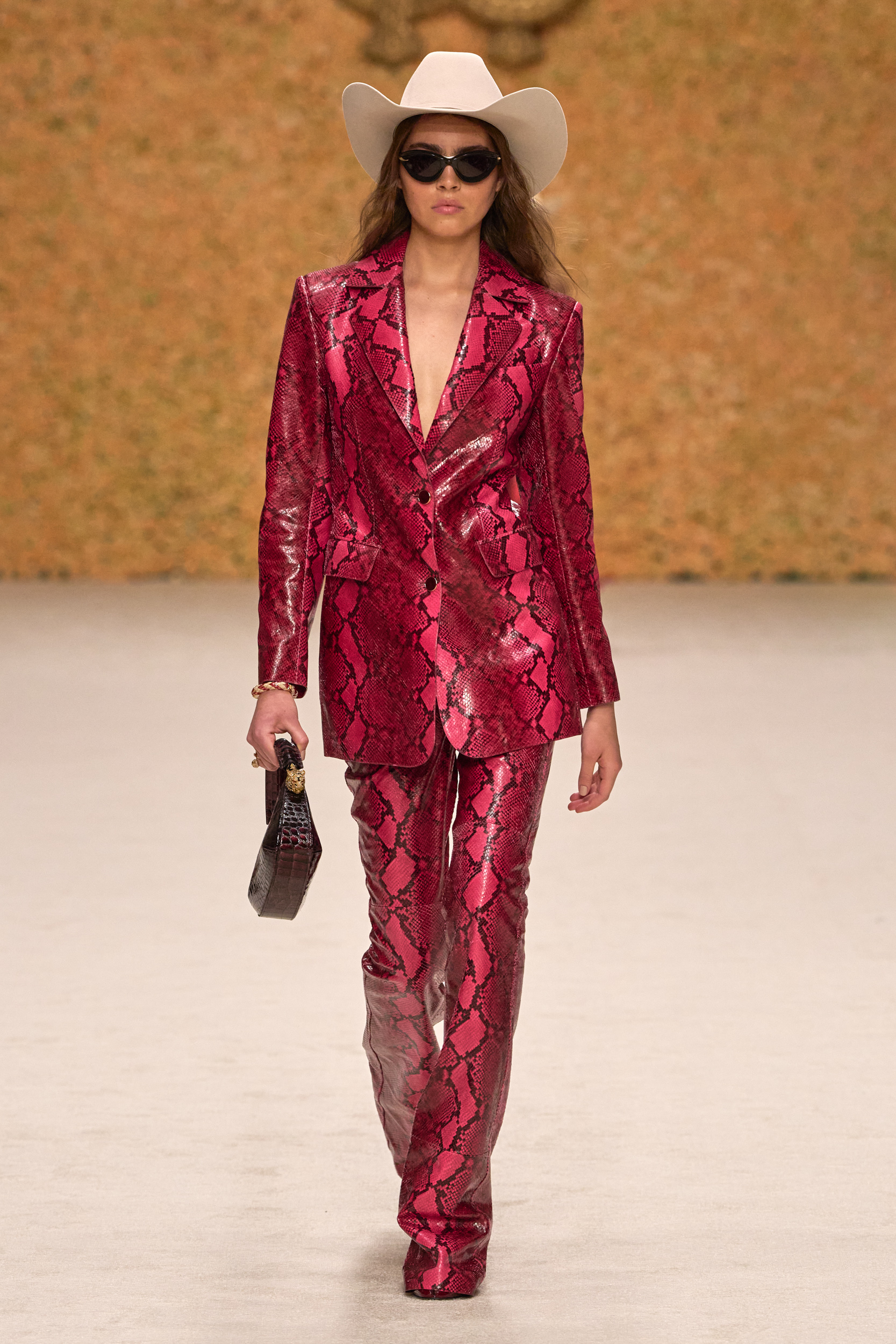 Roberto Cavalli Spring 2025 Fashion Show 