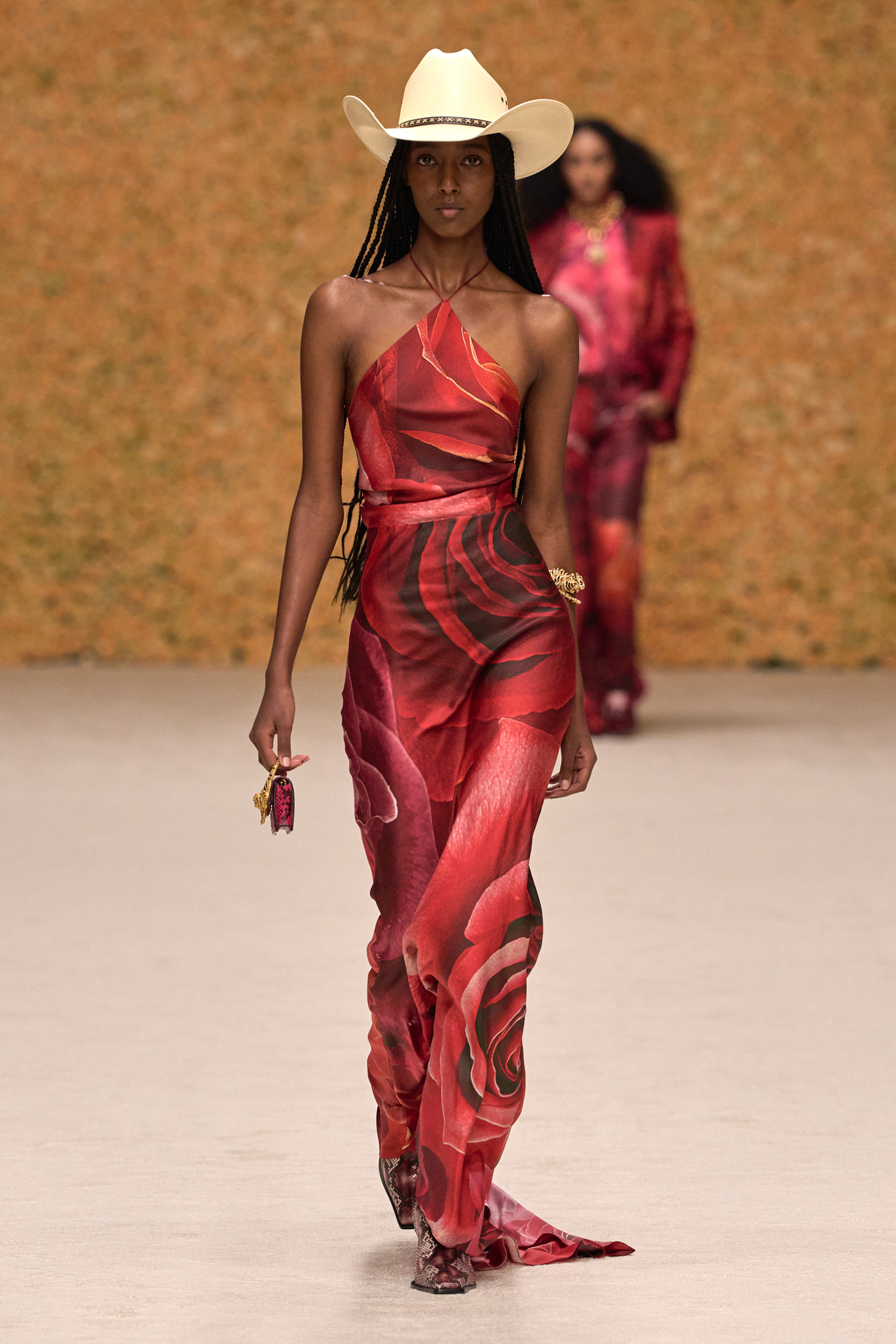 Roberto Cavalli Spring 2025 Fashion Show 