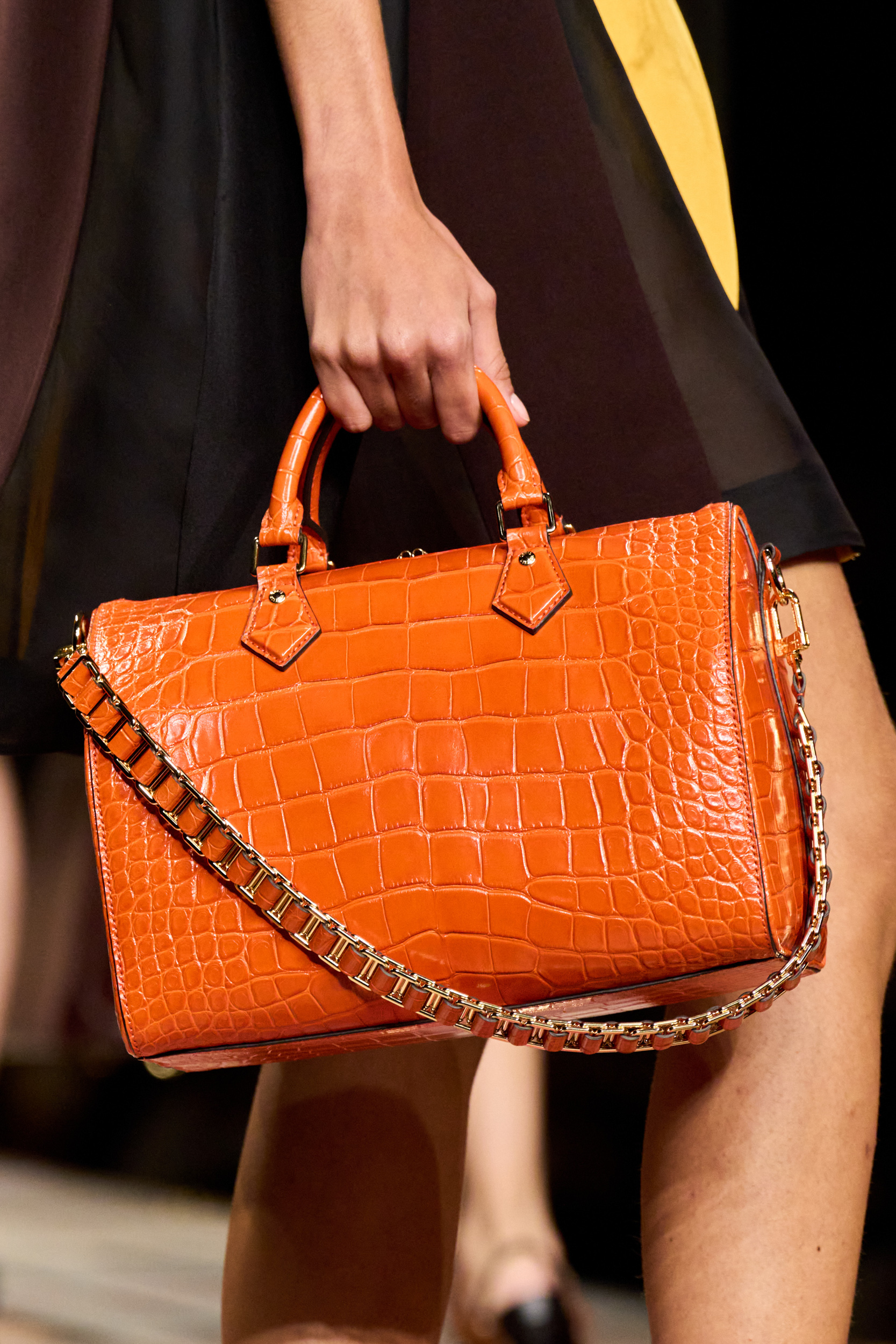 Louis Vuitton Spring 2025 Fashion Show Details