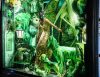 Bergdorf Goodman’s Holiday Windows Celebrate Fifth Avenue Milestone