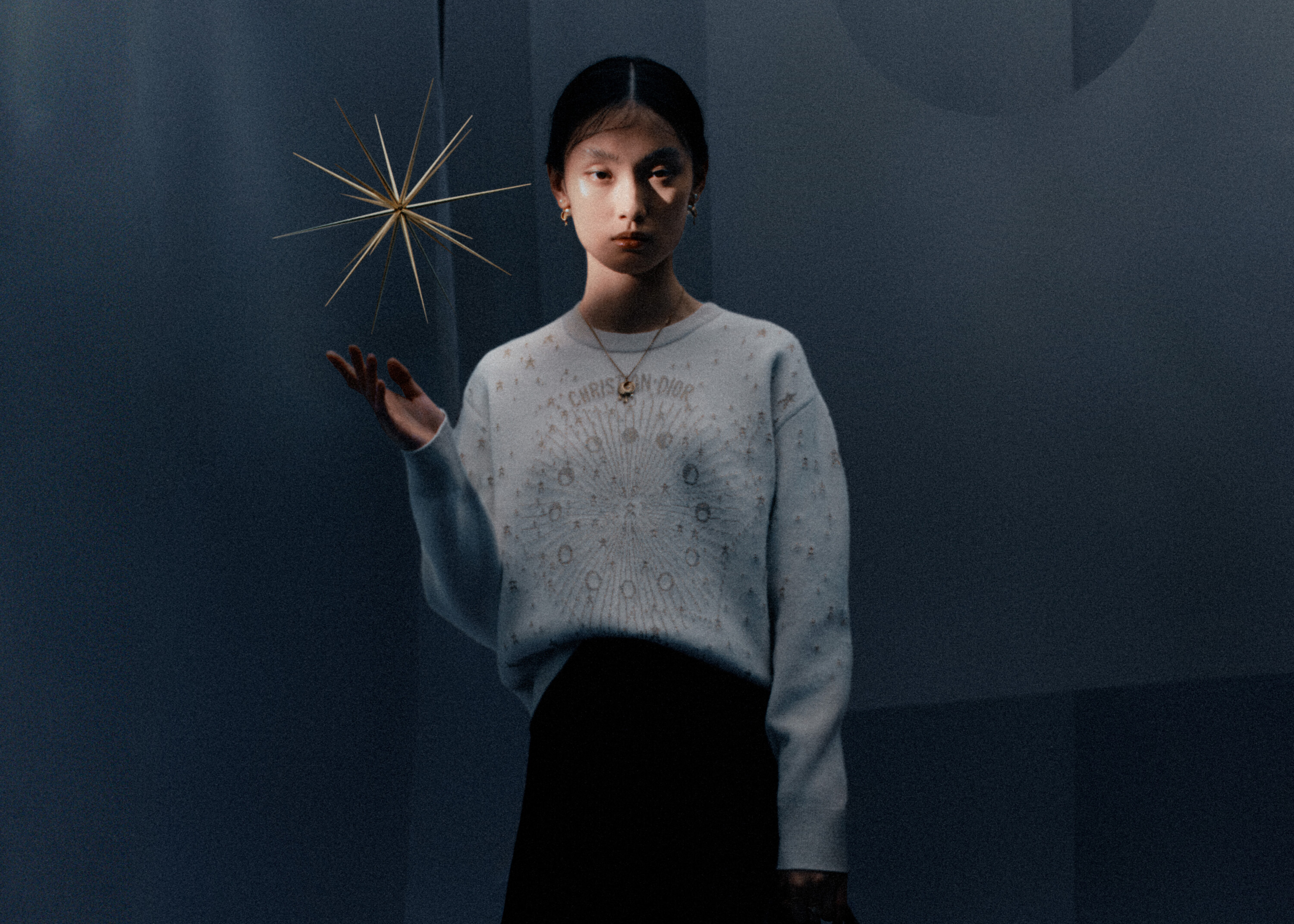 Dior Lunar New Year 2025 Ad Campaign