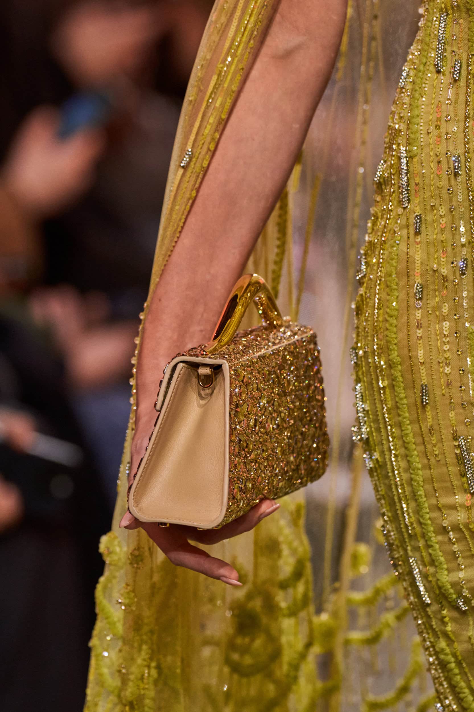 Elie Saab Spring 2025 Couture Fashion Show Details