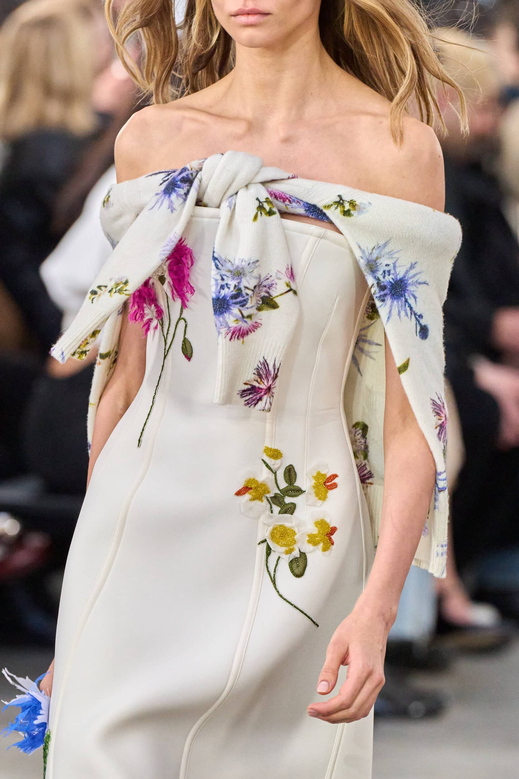 Blumarine Fall 2025 Fashion Show Details