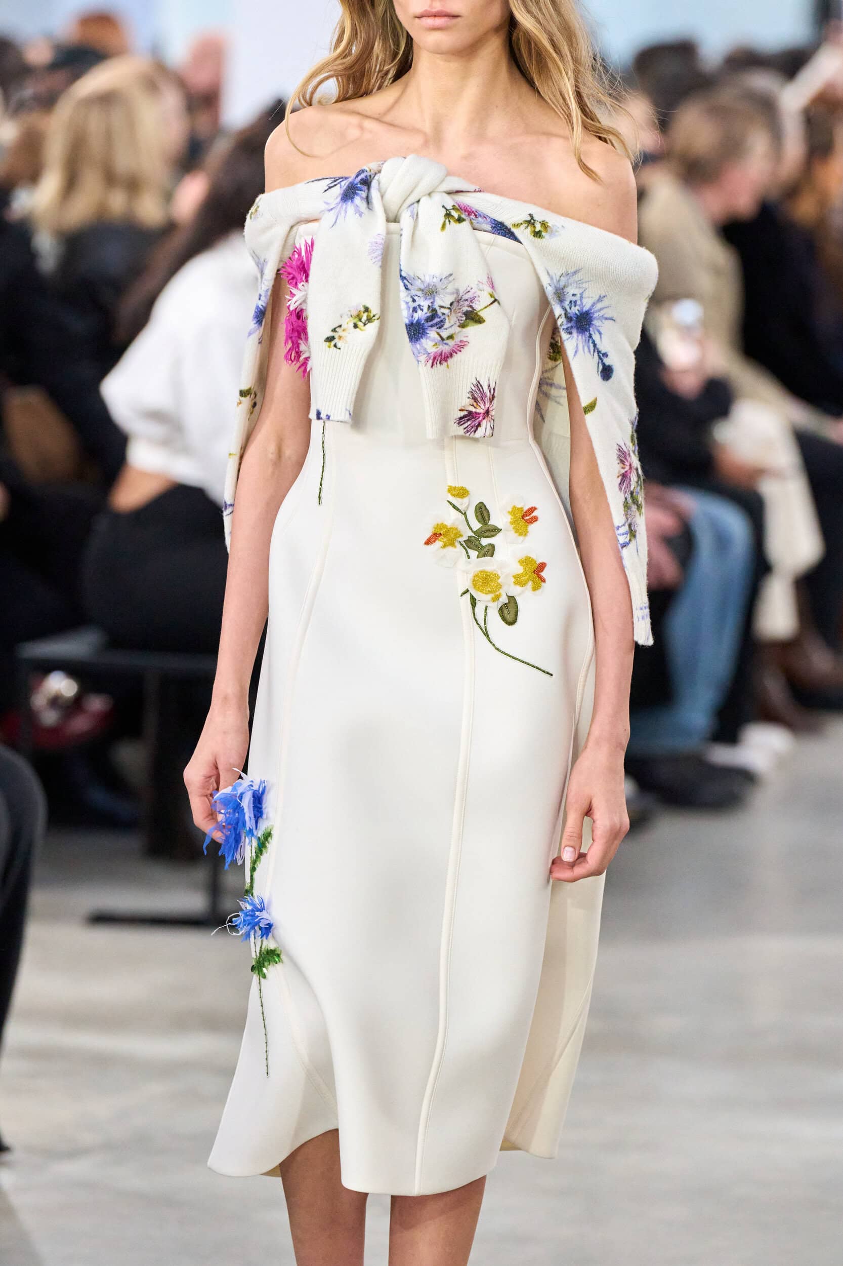 Blumarine Fall 2025 Fashion Show Details