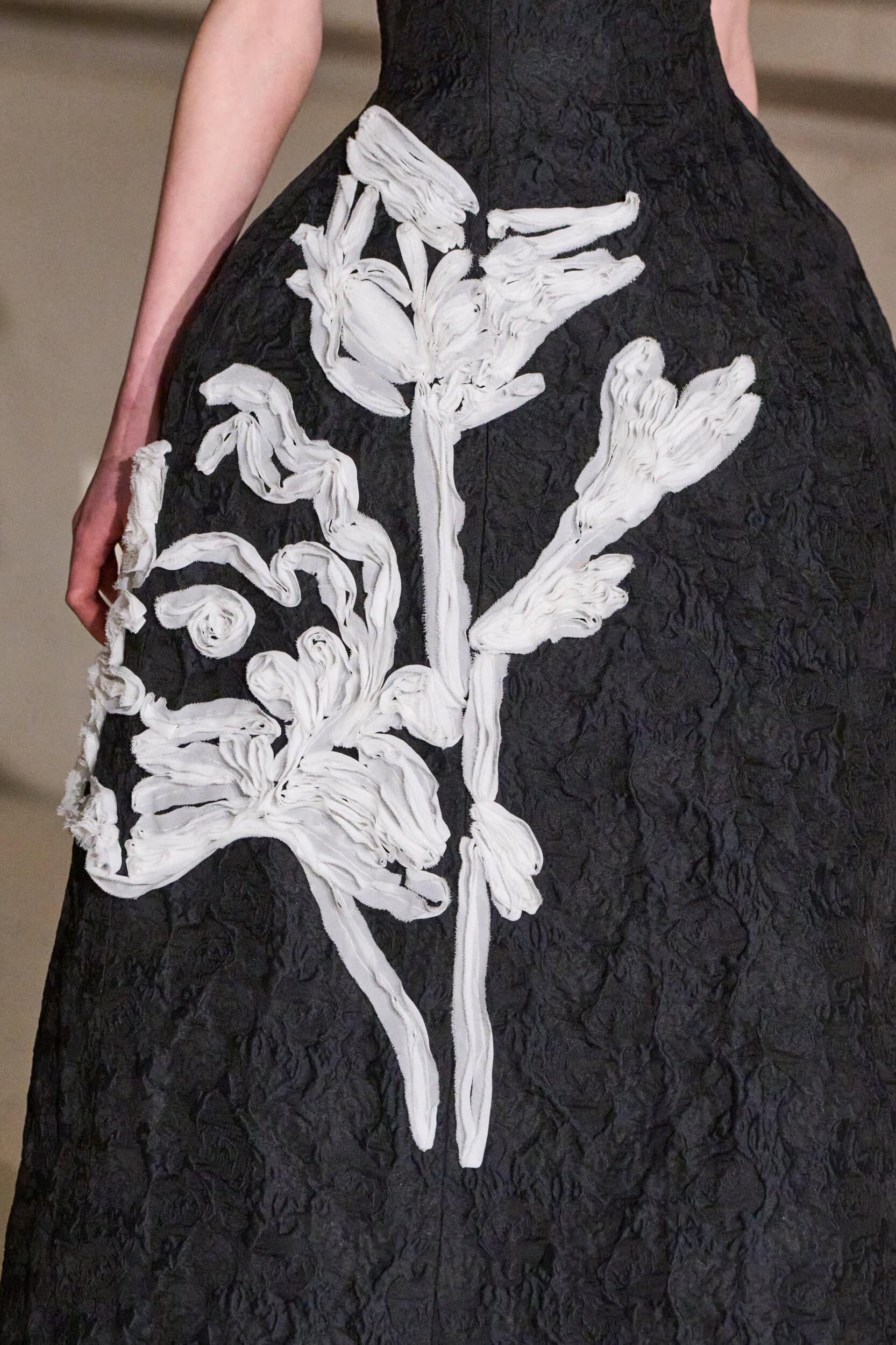 Erdem Fall 2025 Fashion Show Details