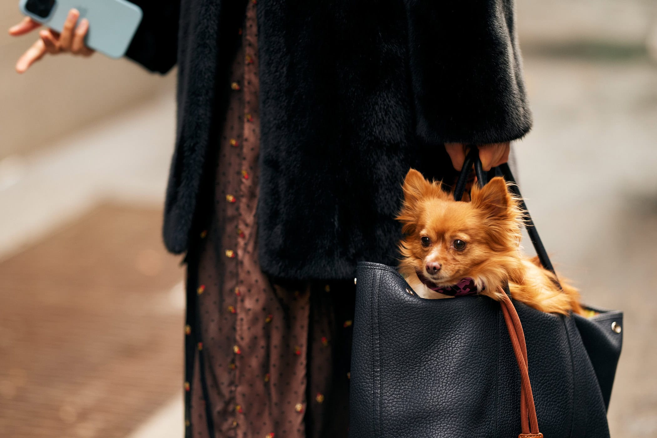 New York Fall 2025 Street Style Day 4