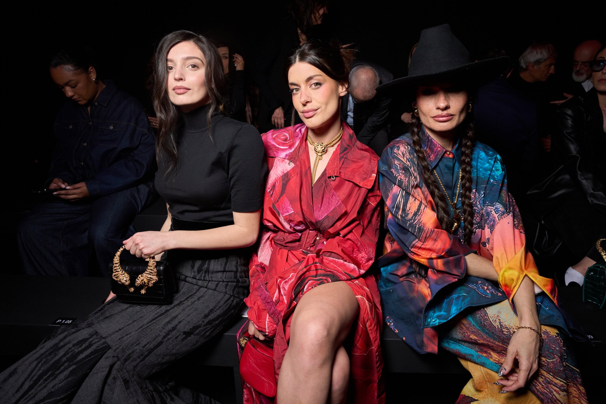 Roberto Cavalli Fall 2025 Fashion Show Front Row