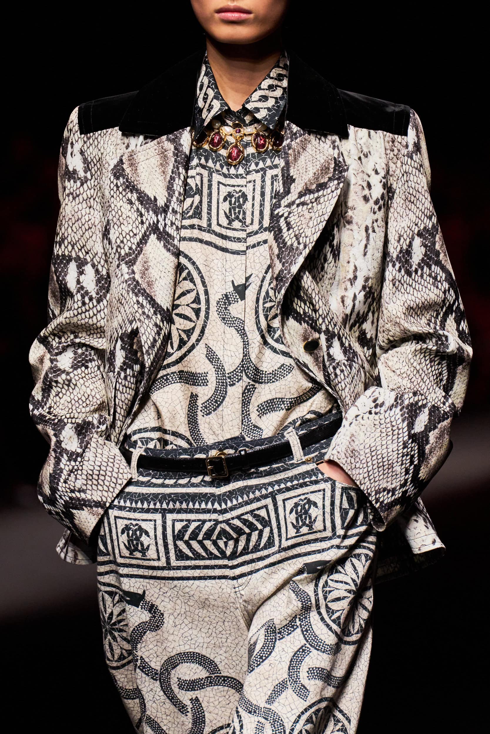 Roberto Cavalli Fall 2025 Fashion Show Details