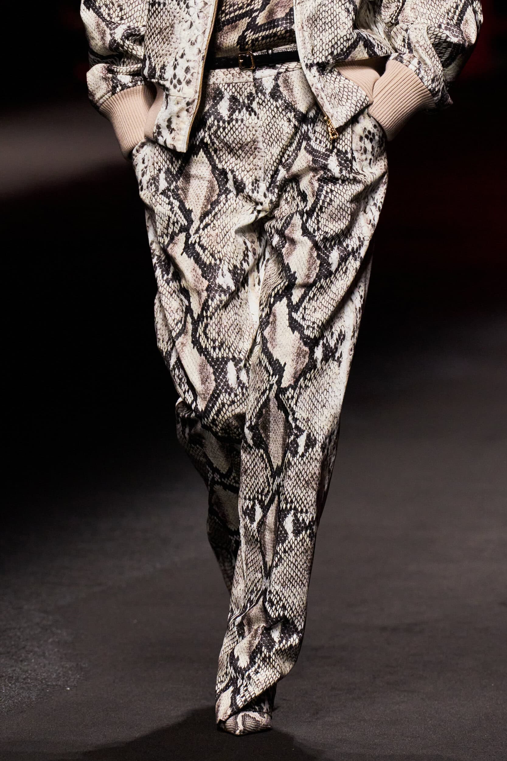 Roberto Cavalli Fall 2025 Fashion Show Details