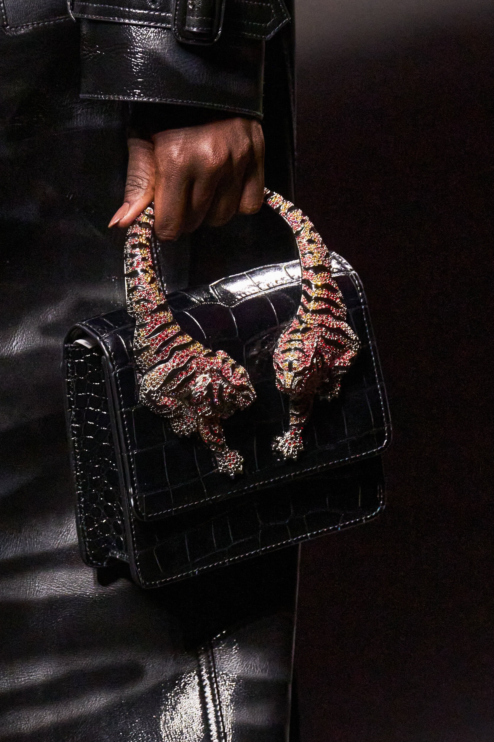 Roberto Cavalli Fall 2025 Fashion Show Details