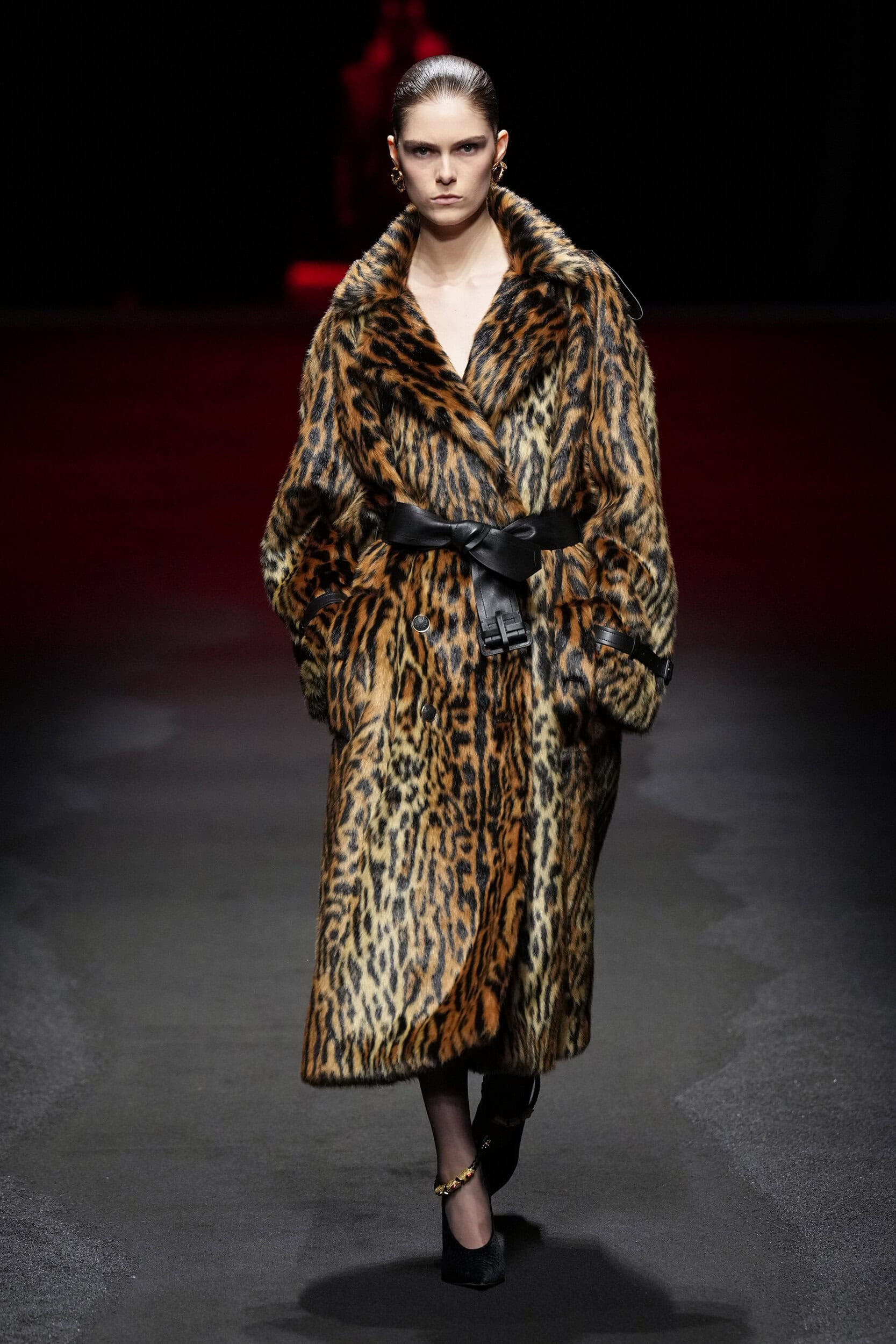 Roberto Cavalli Fall 2025 Fashion Show