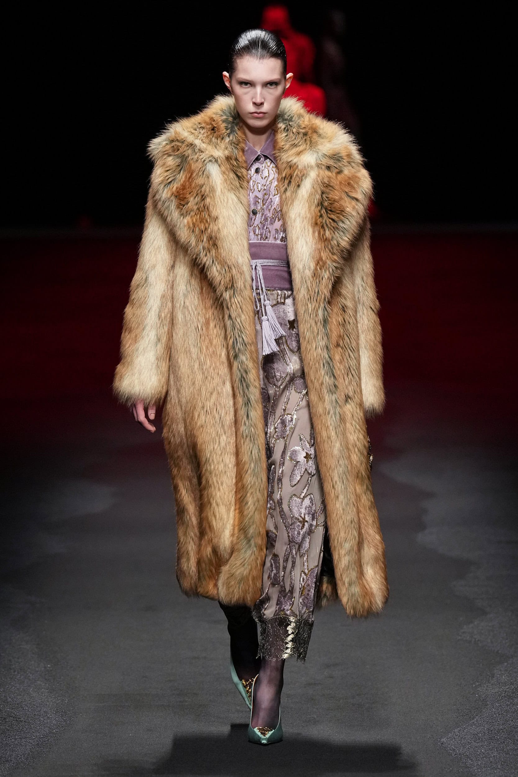 Roberto Cavalli Fall 2025 Fashion Show