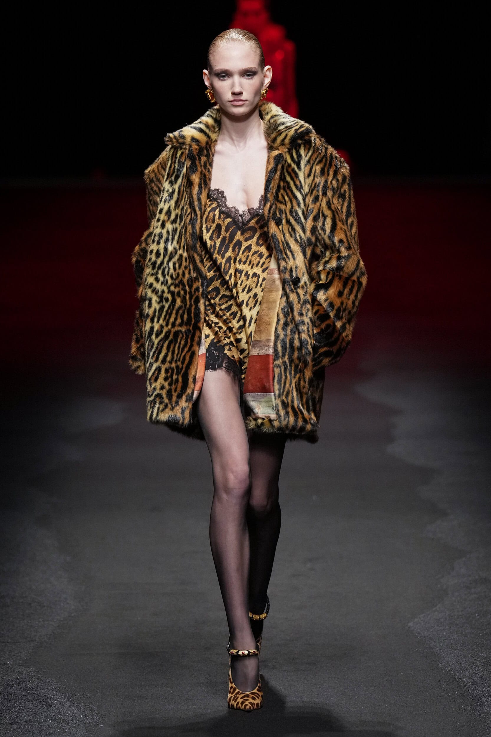 Roberto Cavalli Fall 2025 Fashion Show