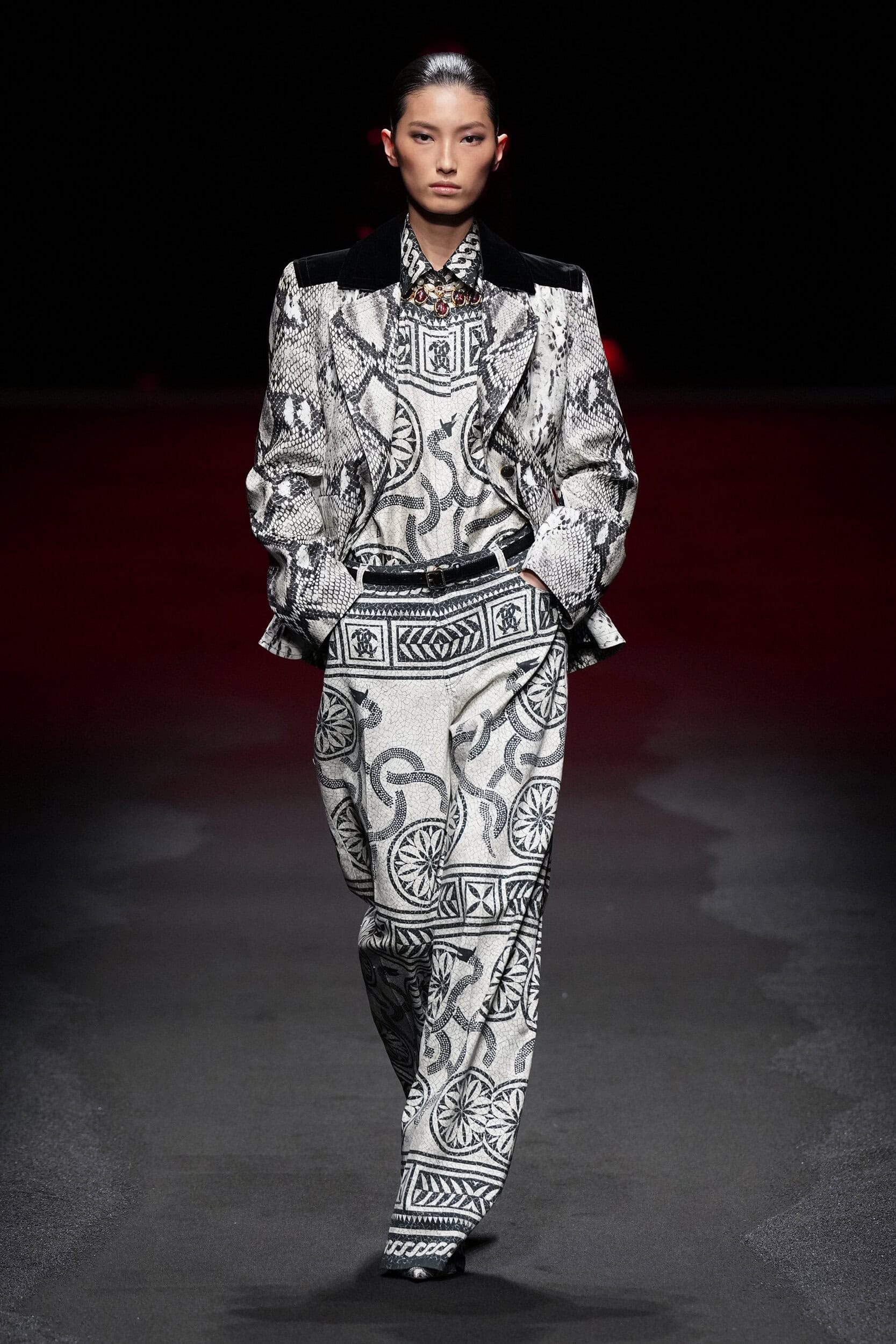 Roberto Cavalli Fall 2025 Fashion Show