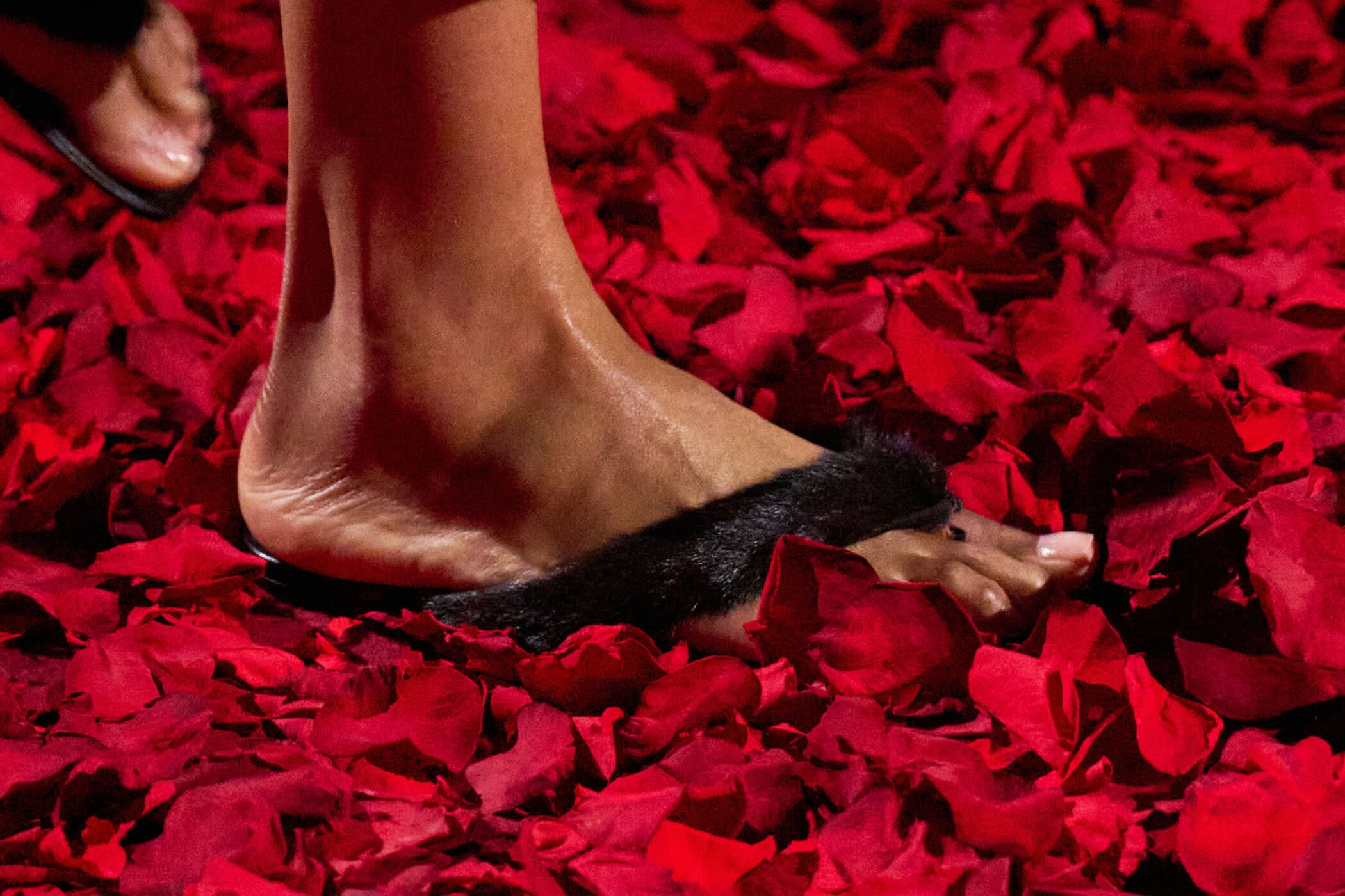 Ferragamo Fall 2025 Fashion Show Details