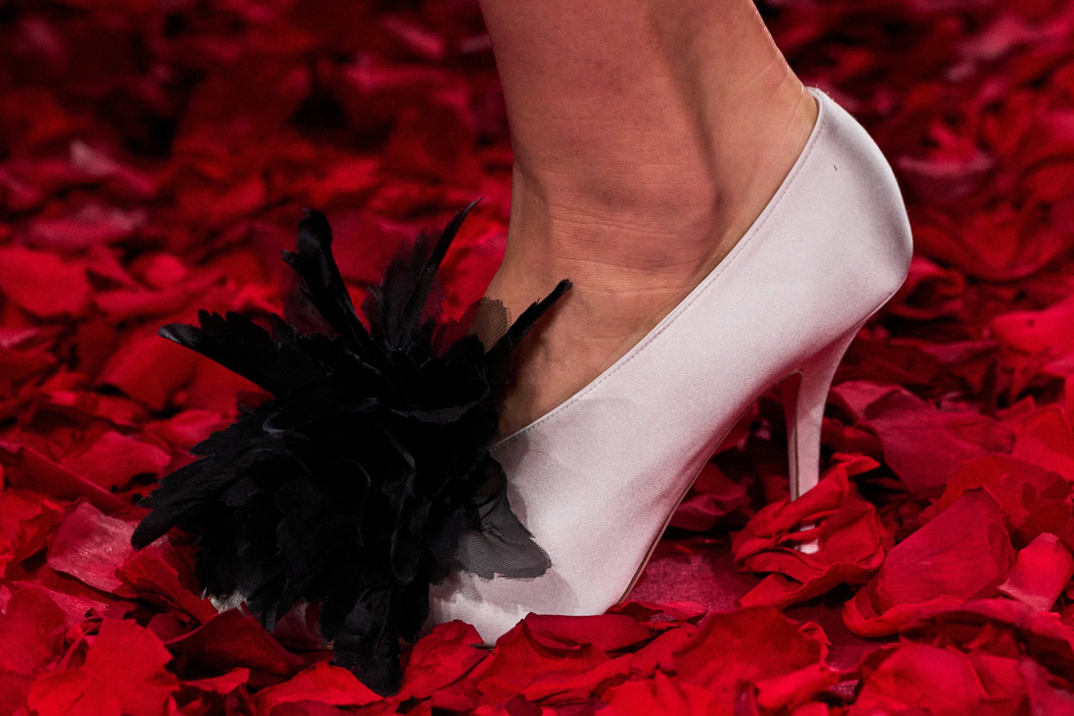 Ferragamo Fall 2025 Fashion Show Details