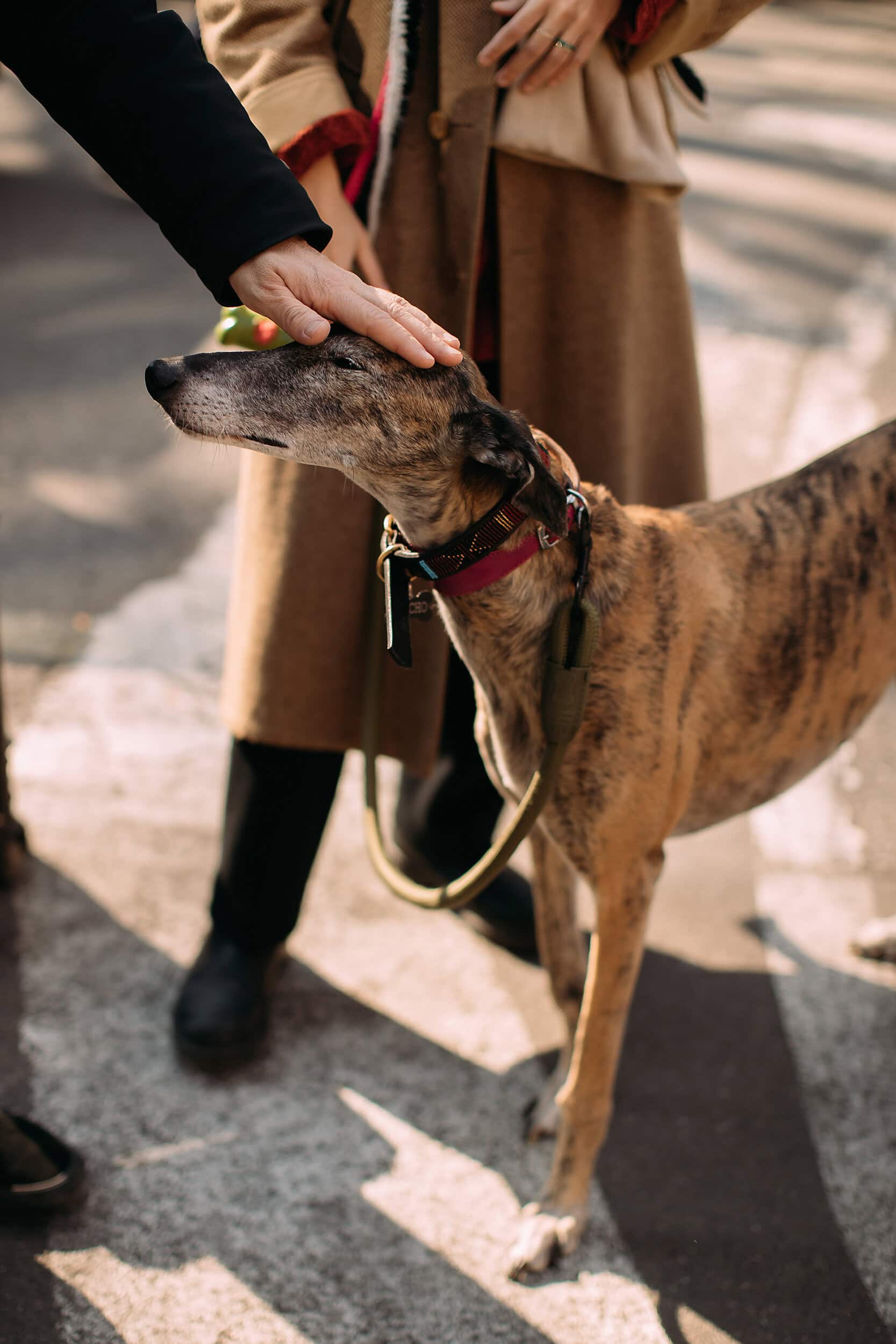 Milano Fall 2025 Street Style Day 6