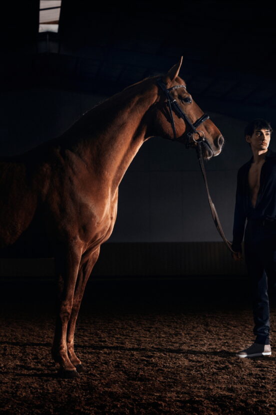 Zvelle "Ray Arena" Ad Campaign