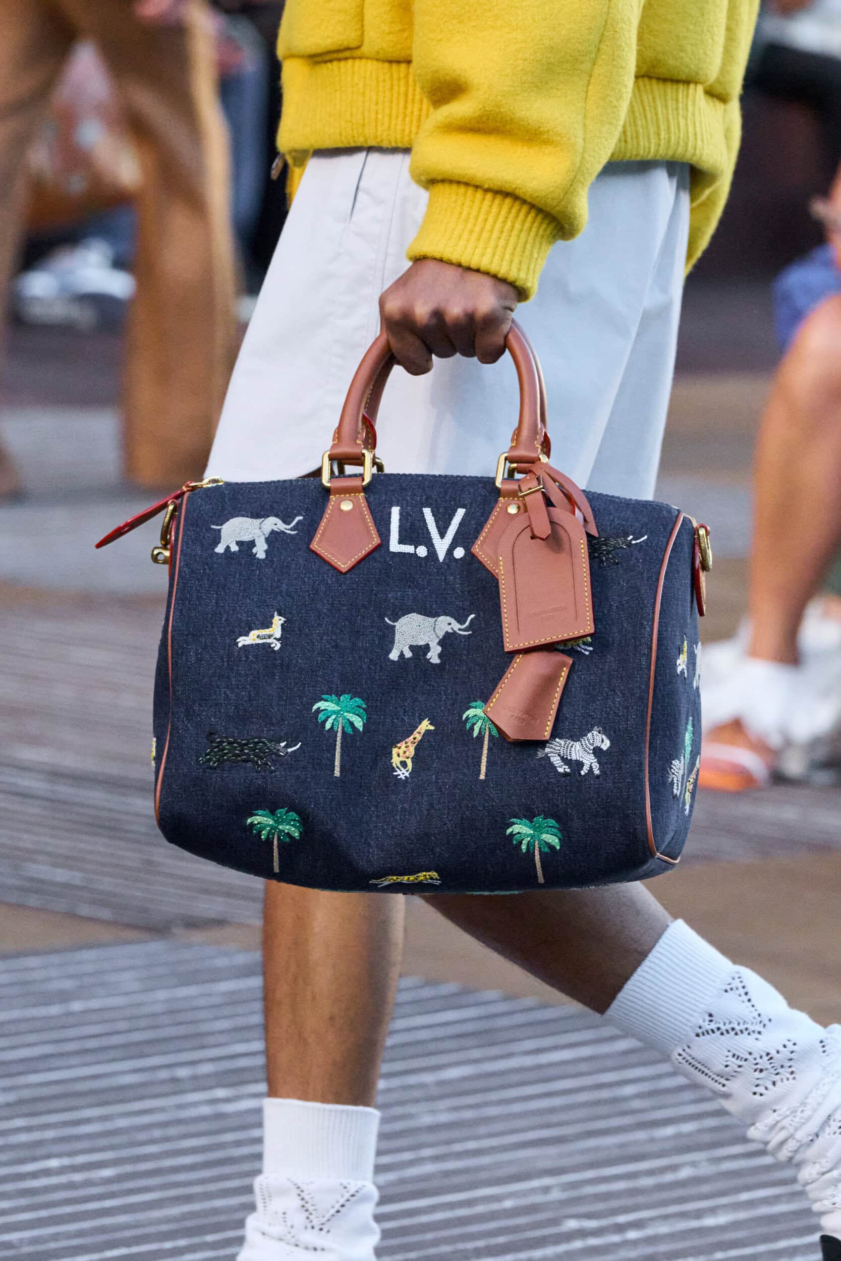Louis Vuitton Spring 2026 Men's Fashion Show Details