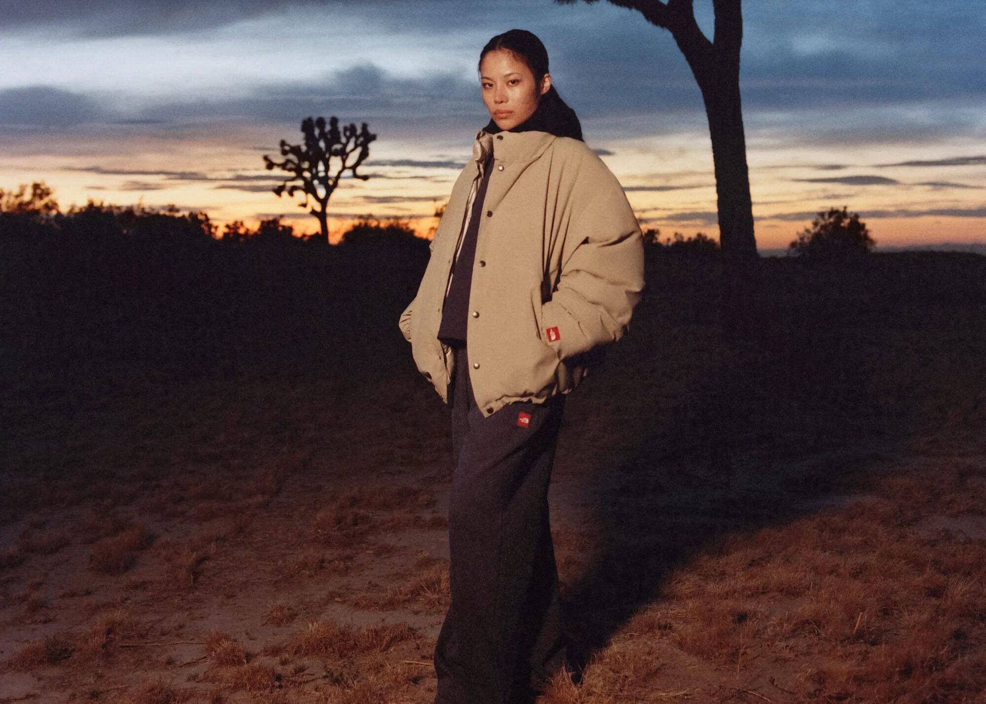 The North Face to Summit a New Peak: Streetwear