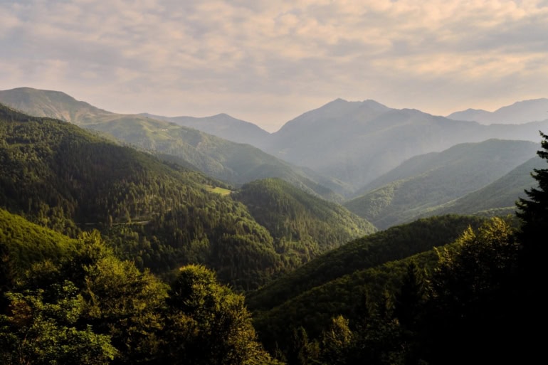 Zegna Plants Roots in Aspen with Ambition to Expand Conservation Initiatives Globally