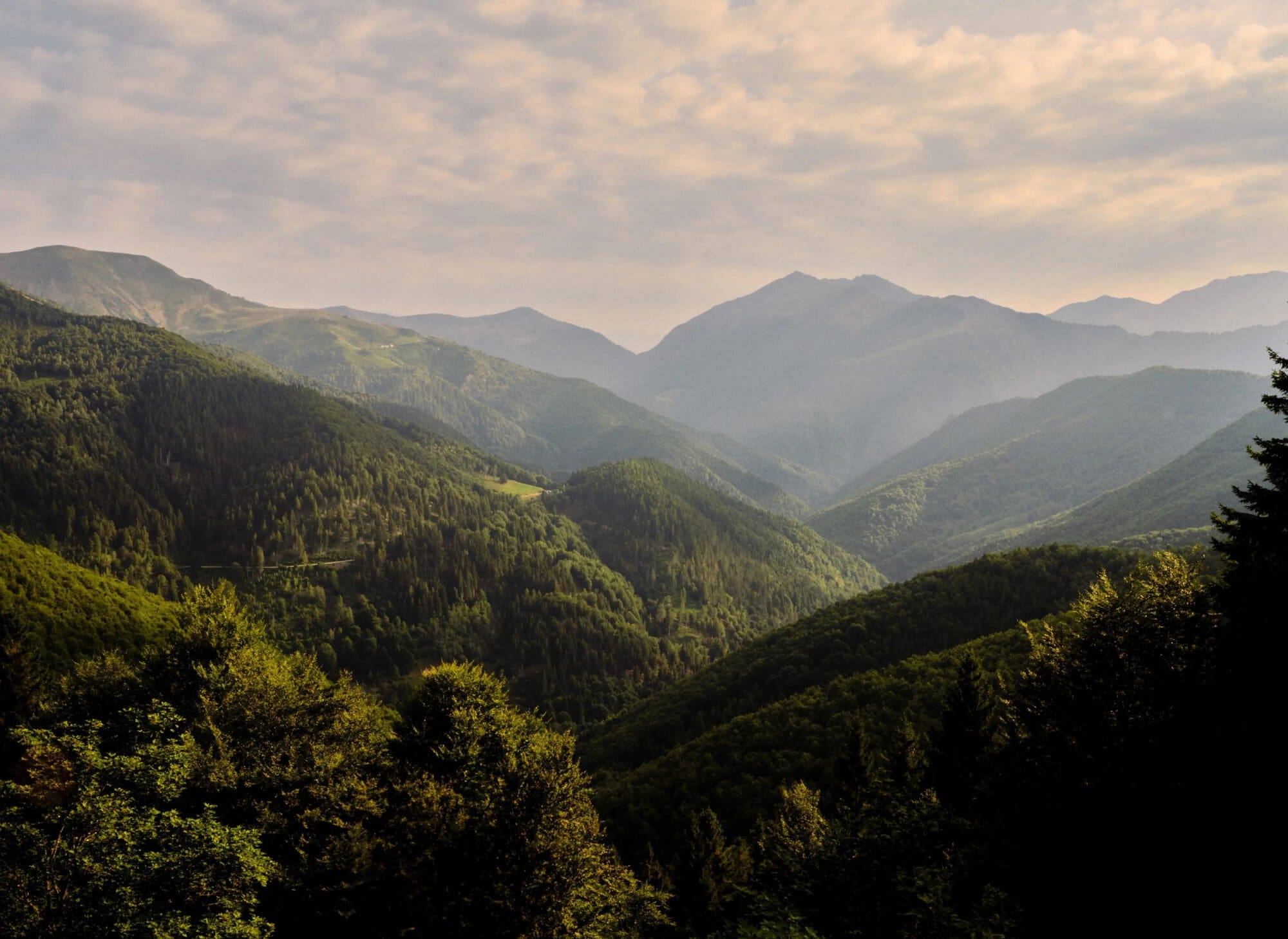 Zegna Plants Roots in Aspen with Ambition to Expand Conservation Initiatives Globally