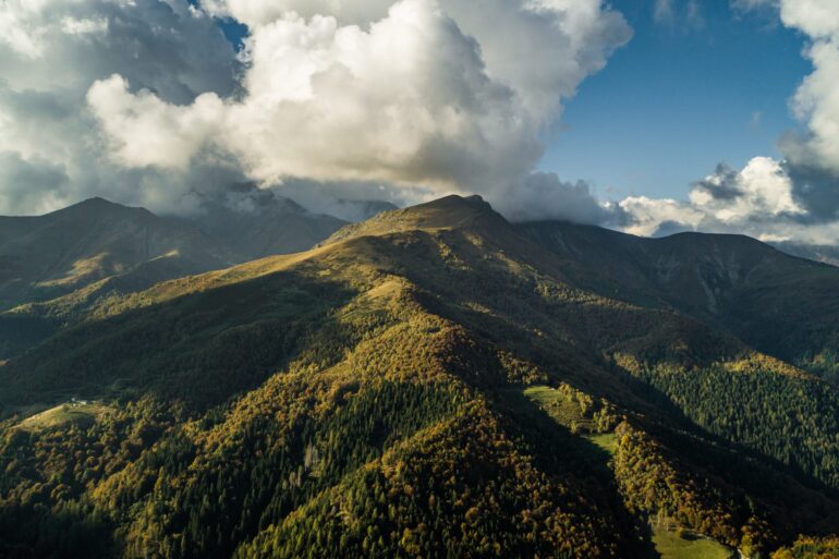 Zegna Plants Roots in Aspen with Ambition to Expand Conservation Initiatives Globally