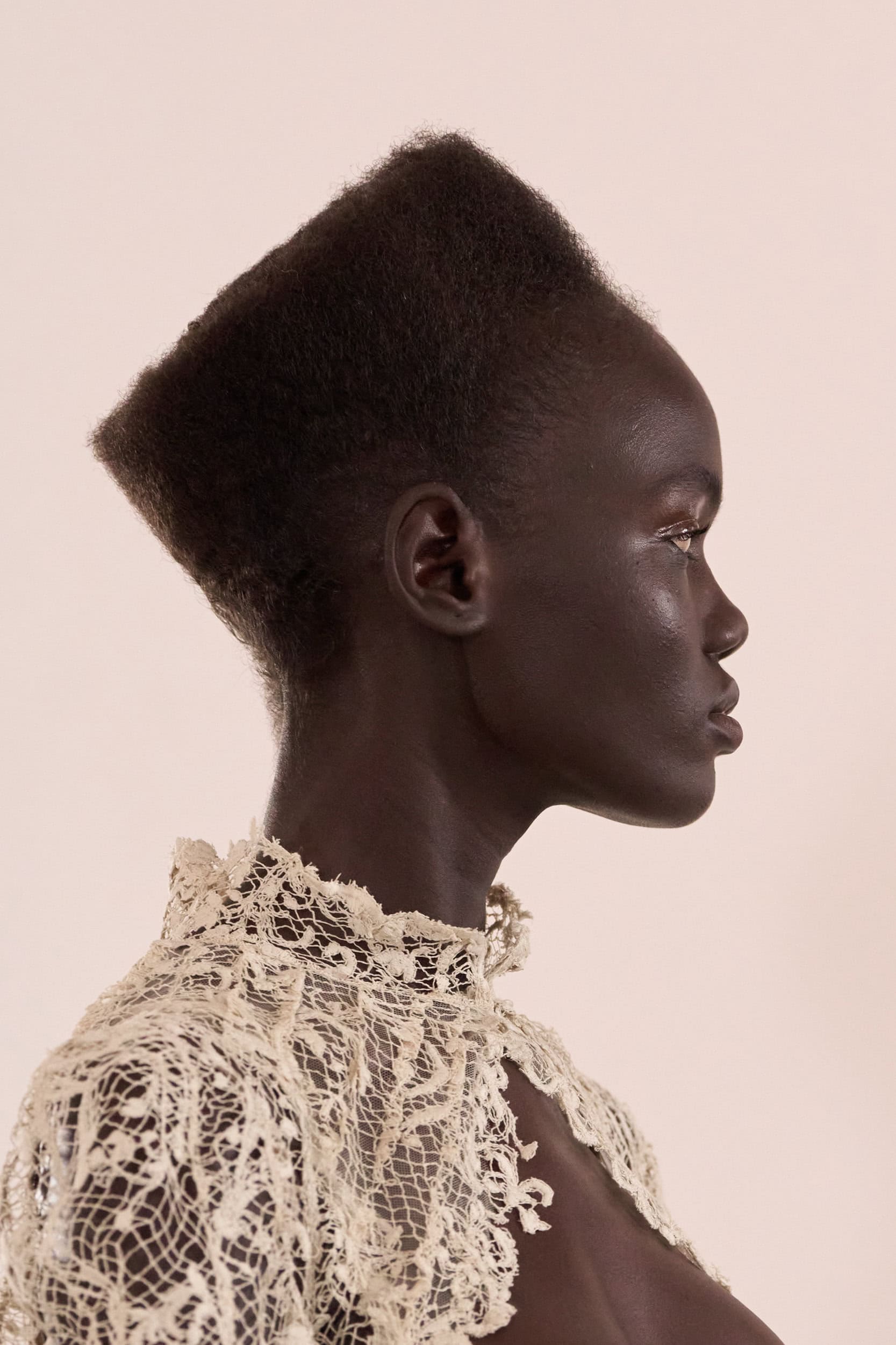 Ashi Studio Fall 2025 Couture Fashion Show Details