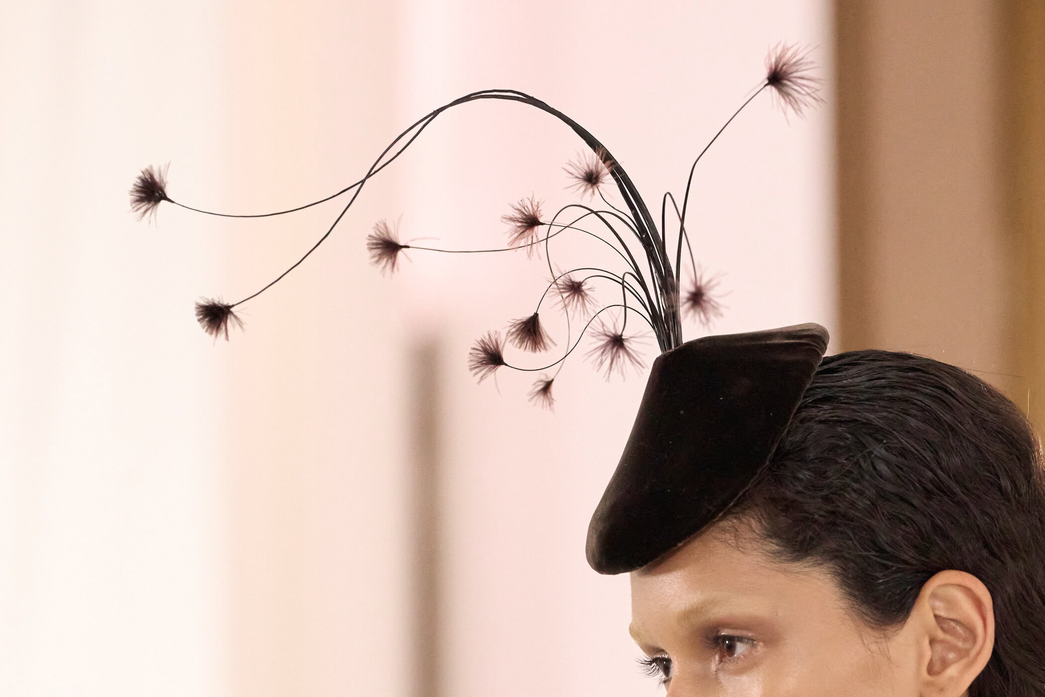 Ashi Studio Fall 2025 Couture Fashion Show Details