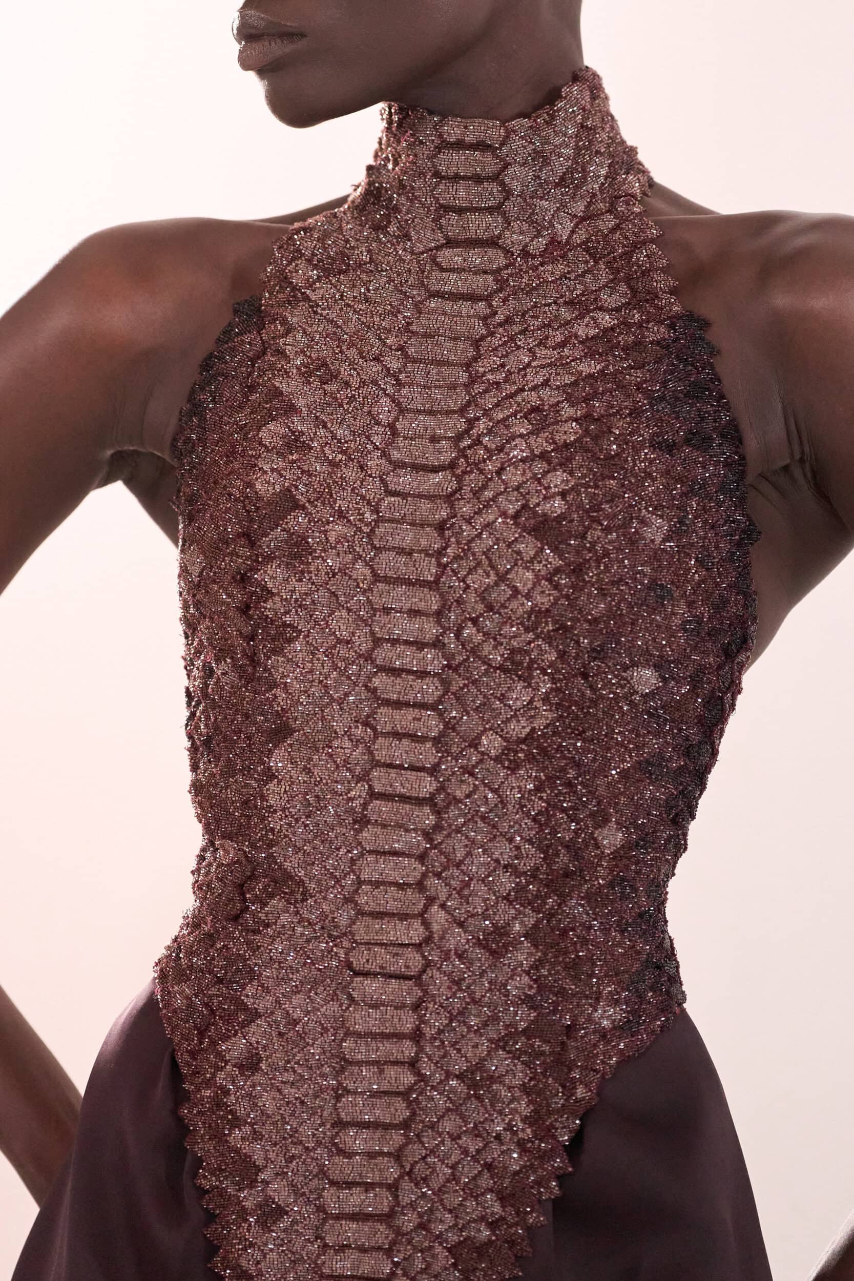 Ashi Studio Fall 2025 Couture Fashion Show Details