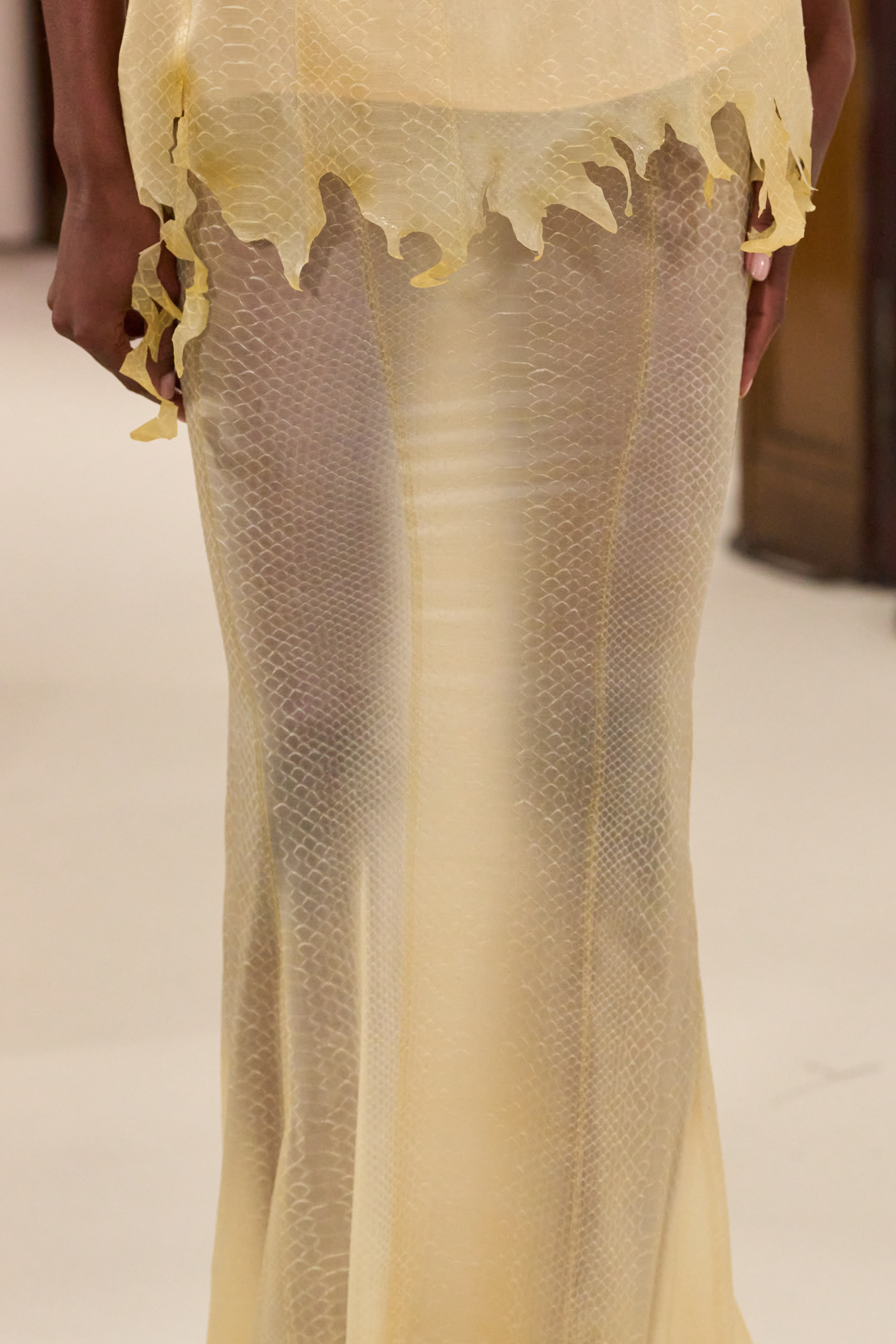 Ashi Studio Fall 2025 Couture Fashion Show Details