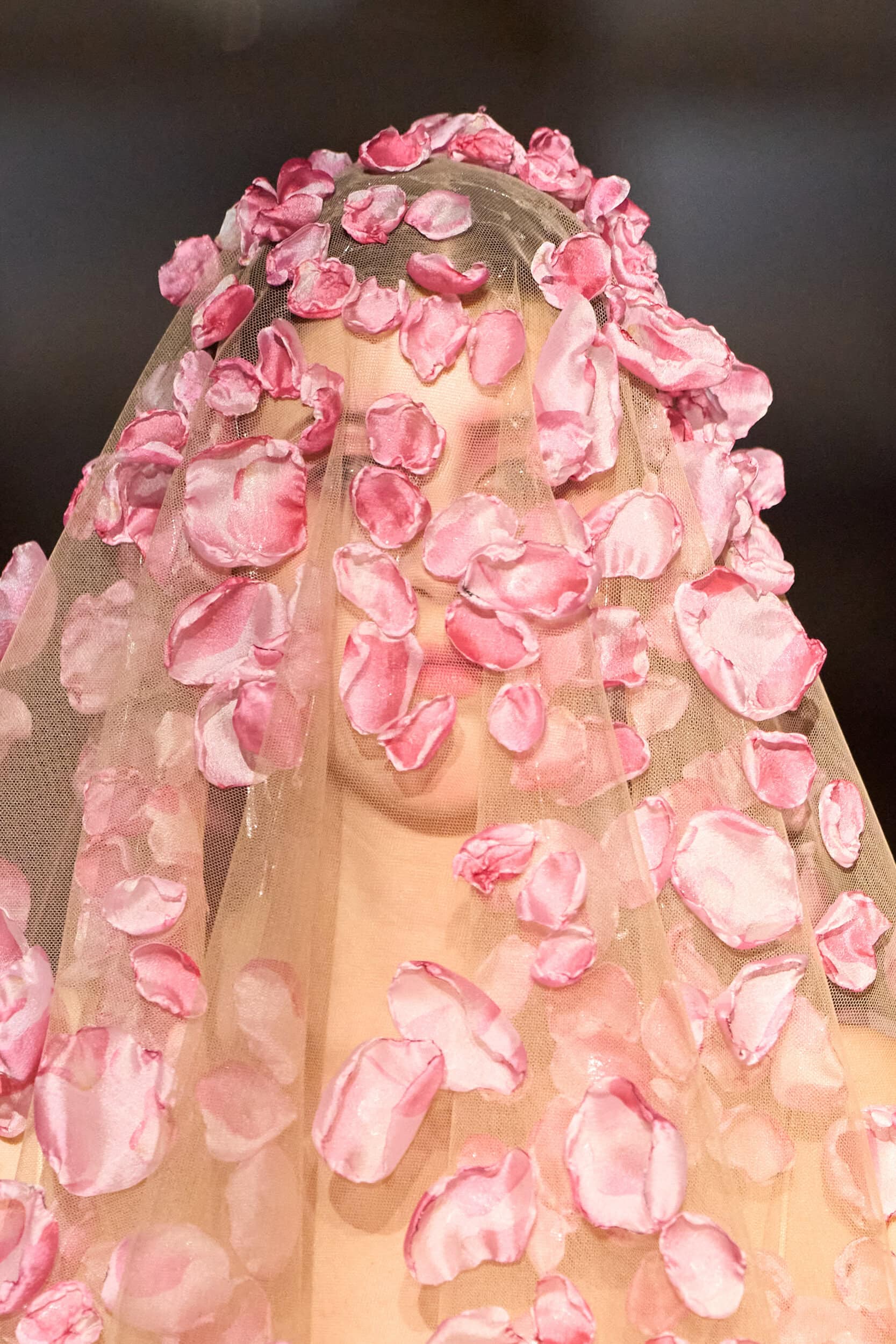 Juana Martin Fall 2025 Couture Fashion Show Details