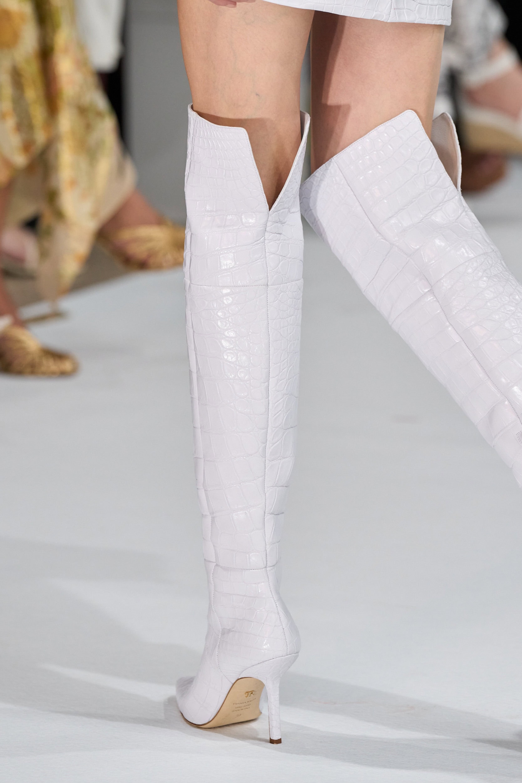Tamara Ralph Spring 2026 Couture Fashion Show Details