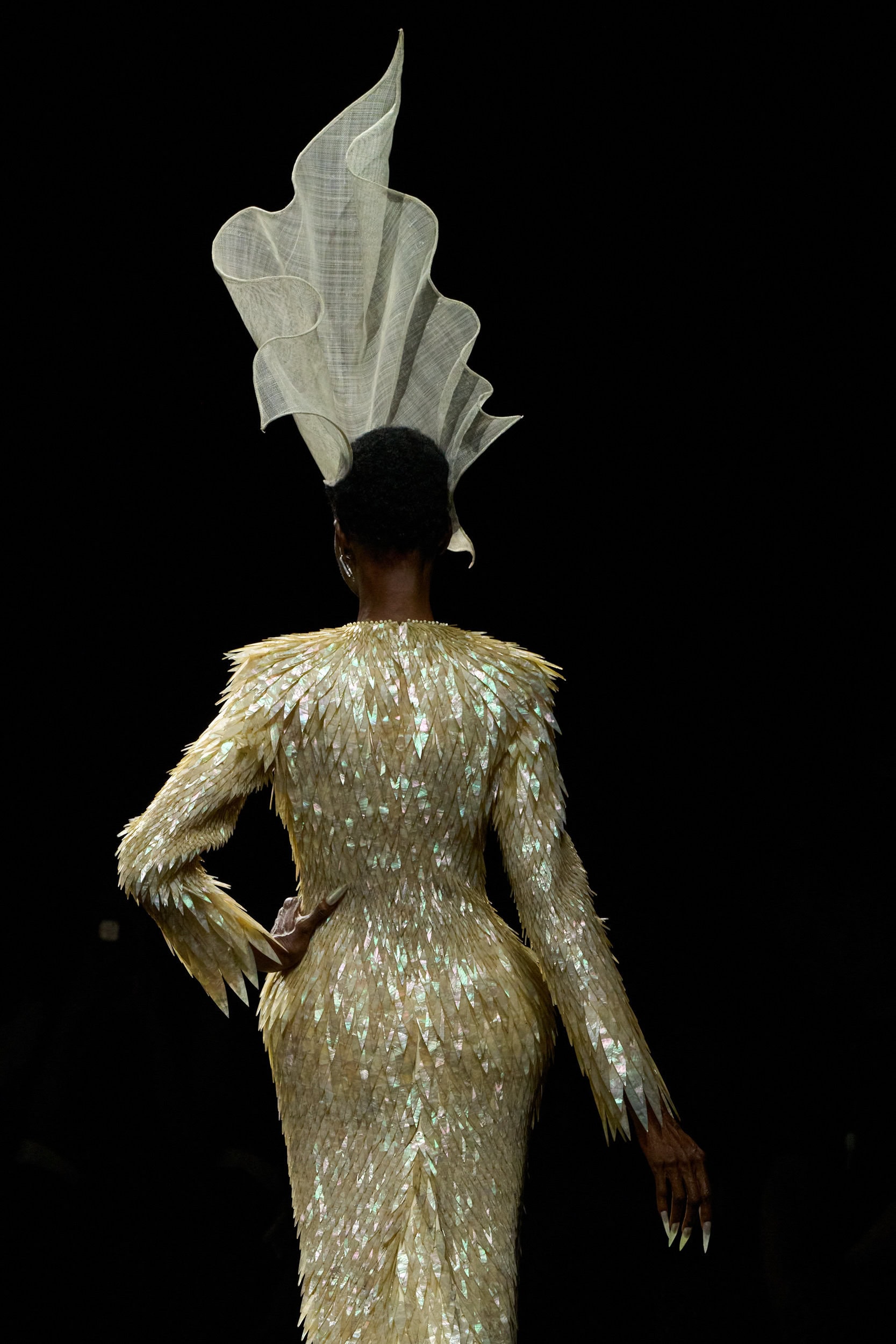 Robert Wun Fall 2025 Couture Fashion Show Details