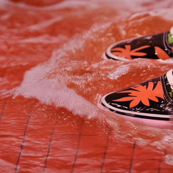 Valentino Garavani x Vans Ad Campaign