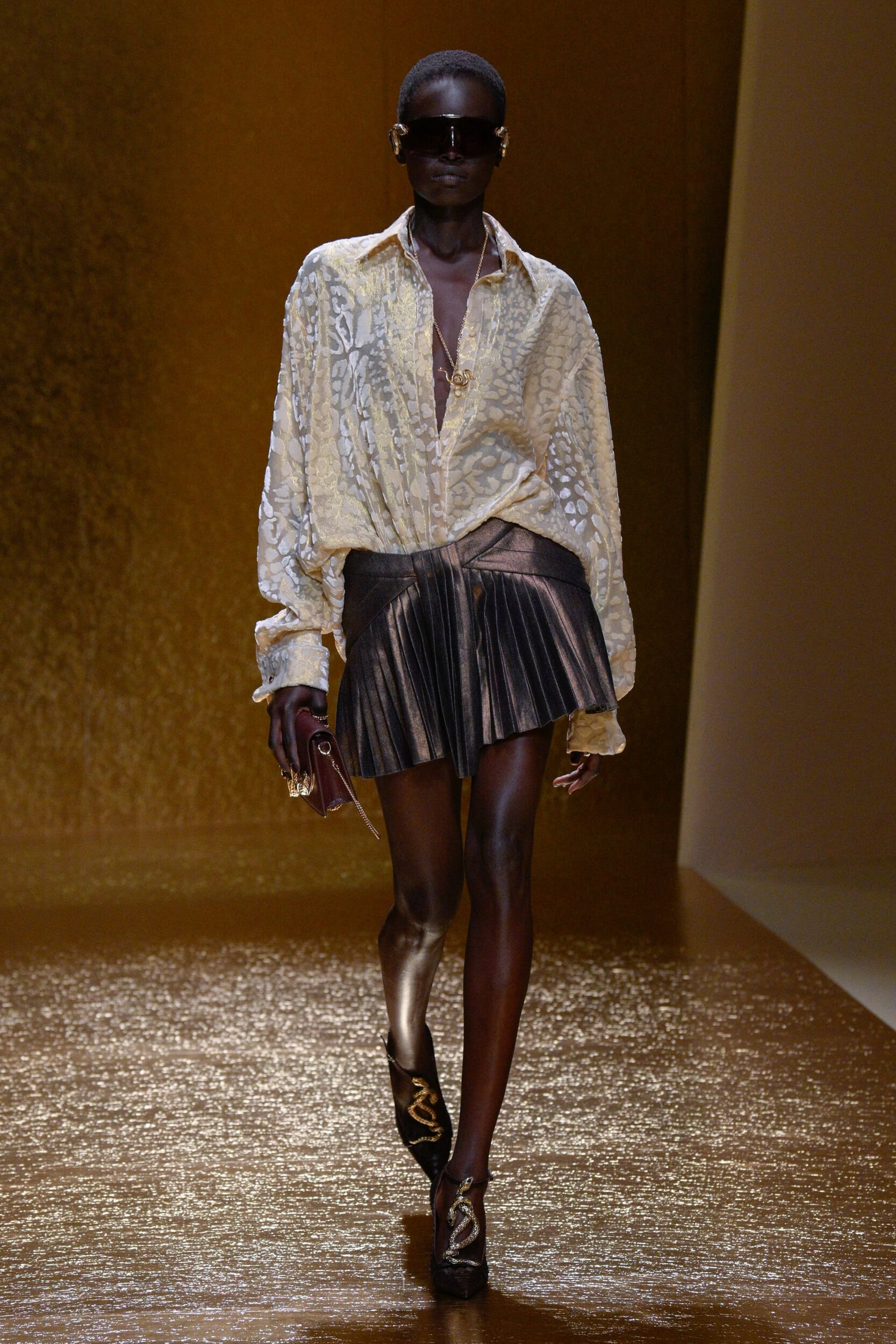 Roberto Cavalli Spring 2026 Fashion Show
