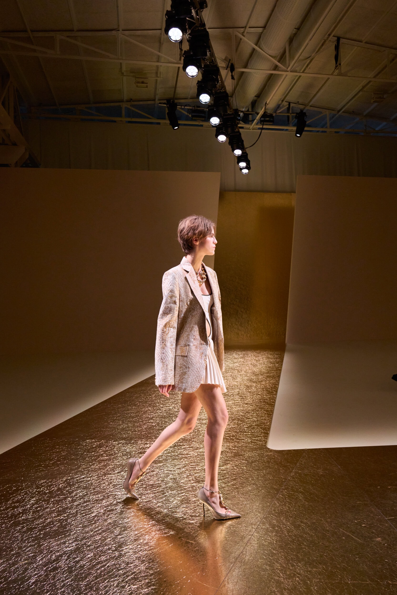 Roberto Cavalli Spring 2026 Fashion Show Atmosphere