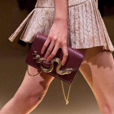 Roberto Cavalli Spring 2026 Fashion Show Details