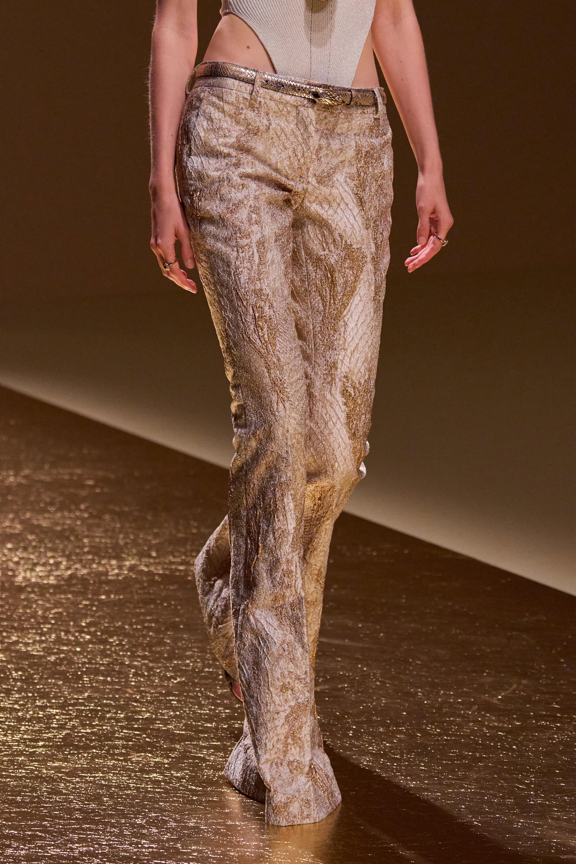 Roberto Cavalli Spring 2026 Fashion Show Details