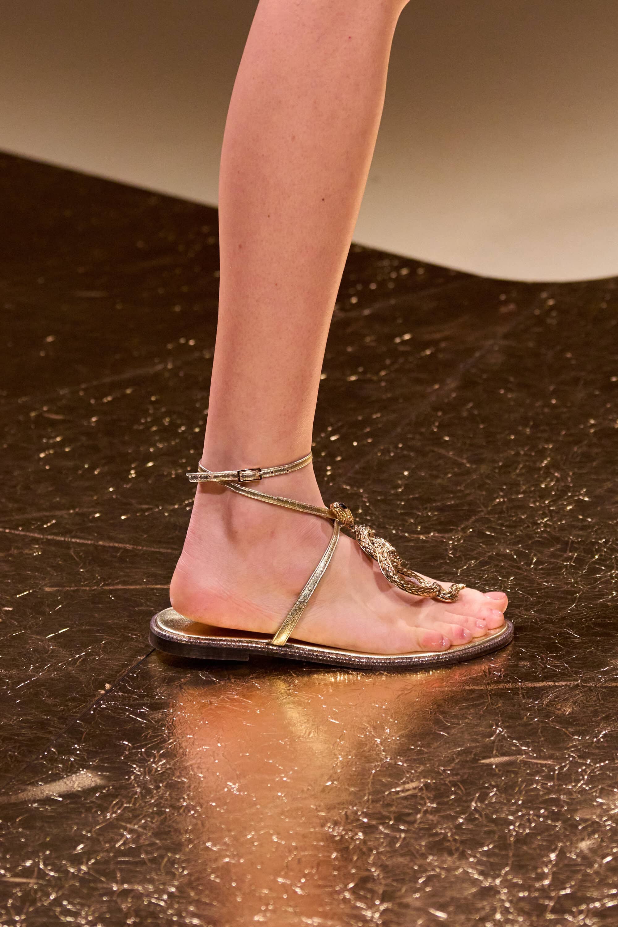 Roberto Cavalli Spring 2026 Fashion Show Details