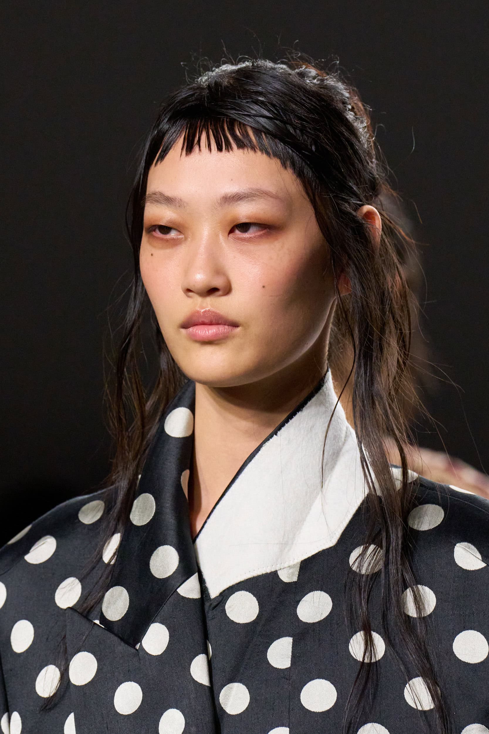 Dries Van Noten Spring 2026 Fashion Show Details
