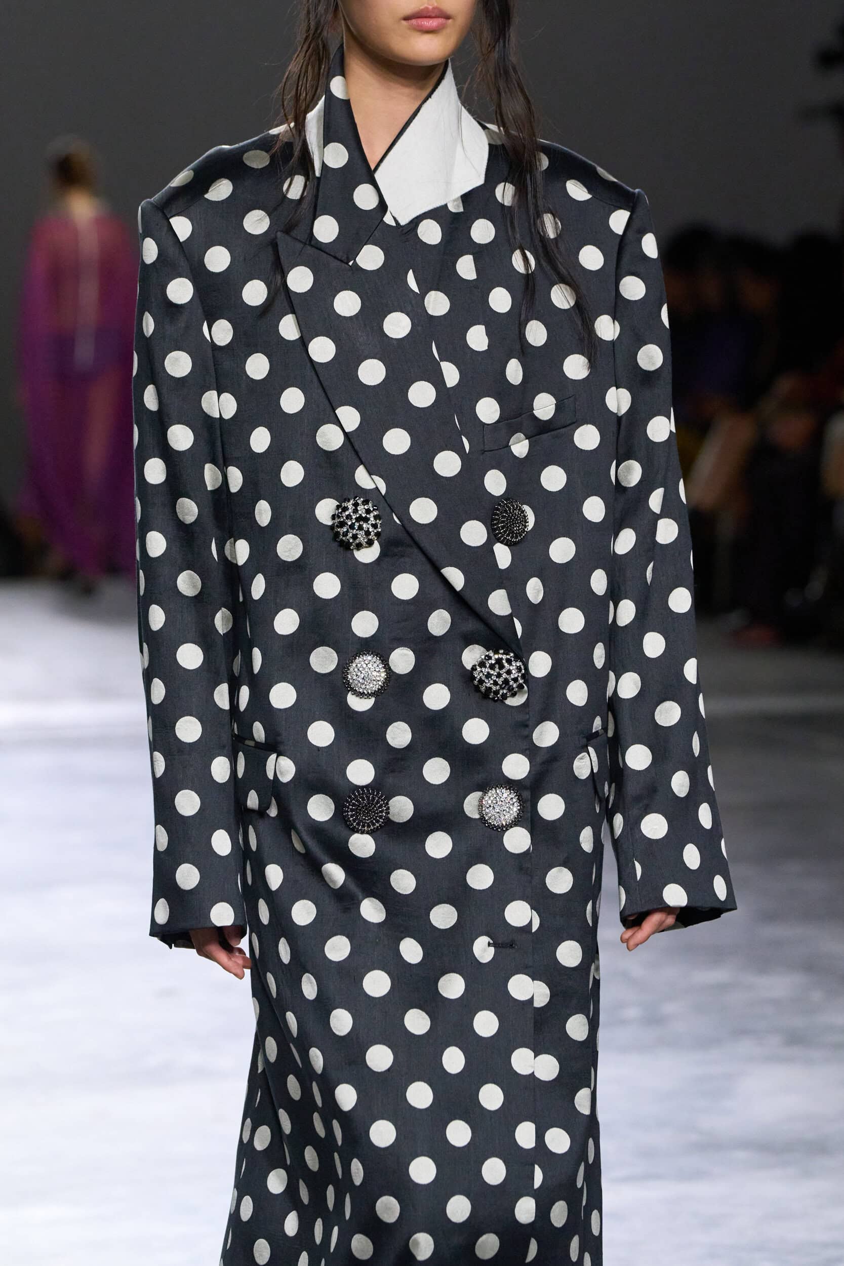 Dries Van Noten Spring 2026 Fashion Show Details