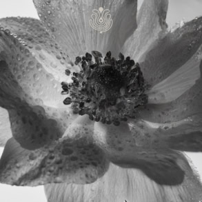 Puig Reports 6.1% Q3 Growth Driven by Makeup and Skincare