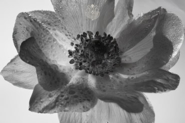 Puig Reports 6.1% Q3 Growth Driven by Makeup and Skincare