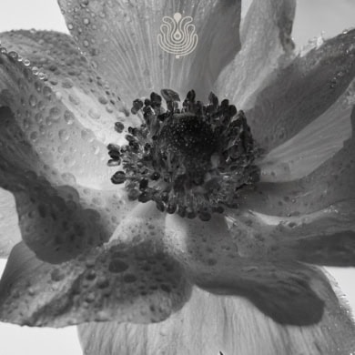 Puig Reports 6.1% Q3 Growth Driven by Makeup and Skincare