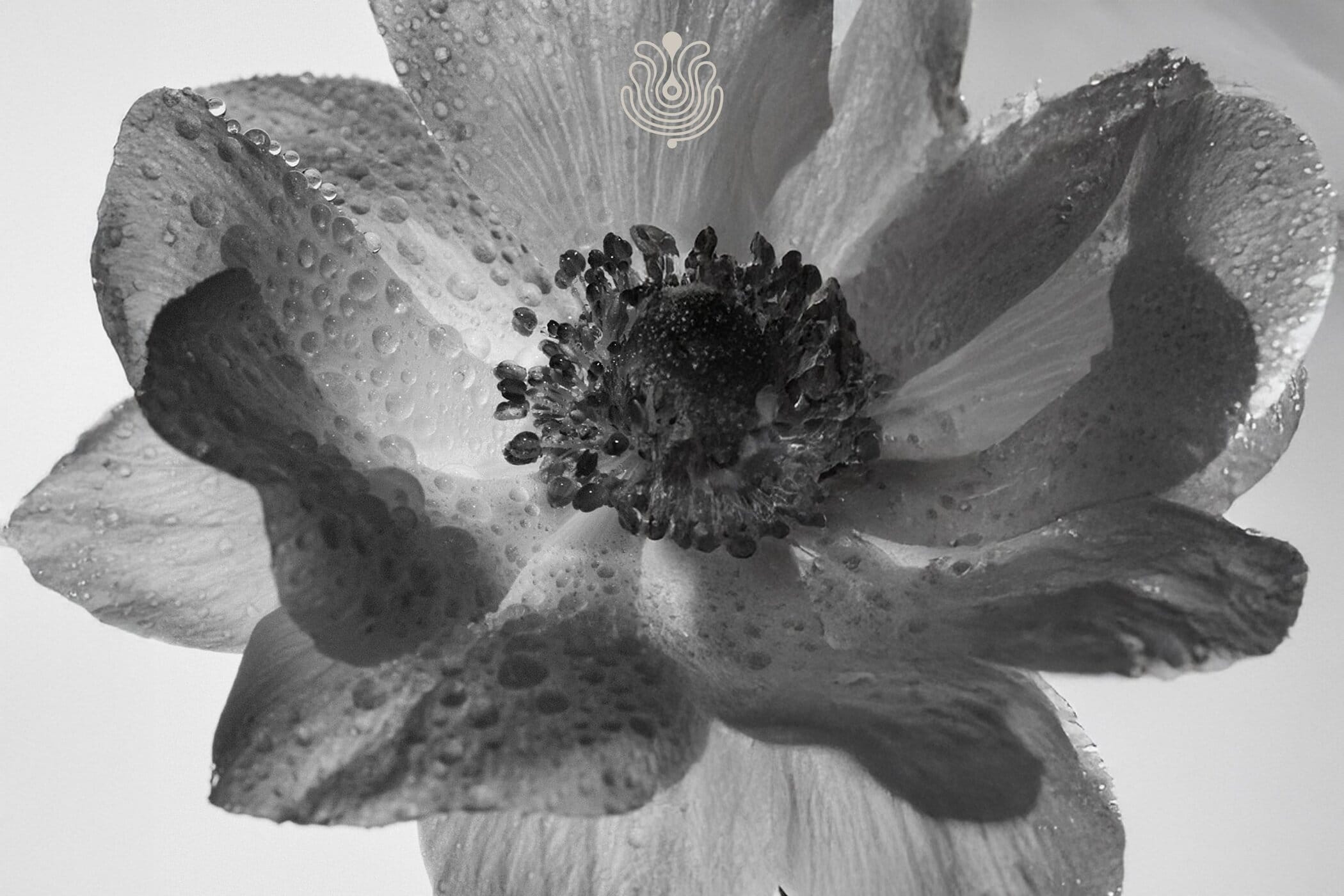 Puig Reports 6.1% Q3 Growth Driven by Makeup and Skincare