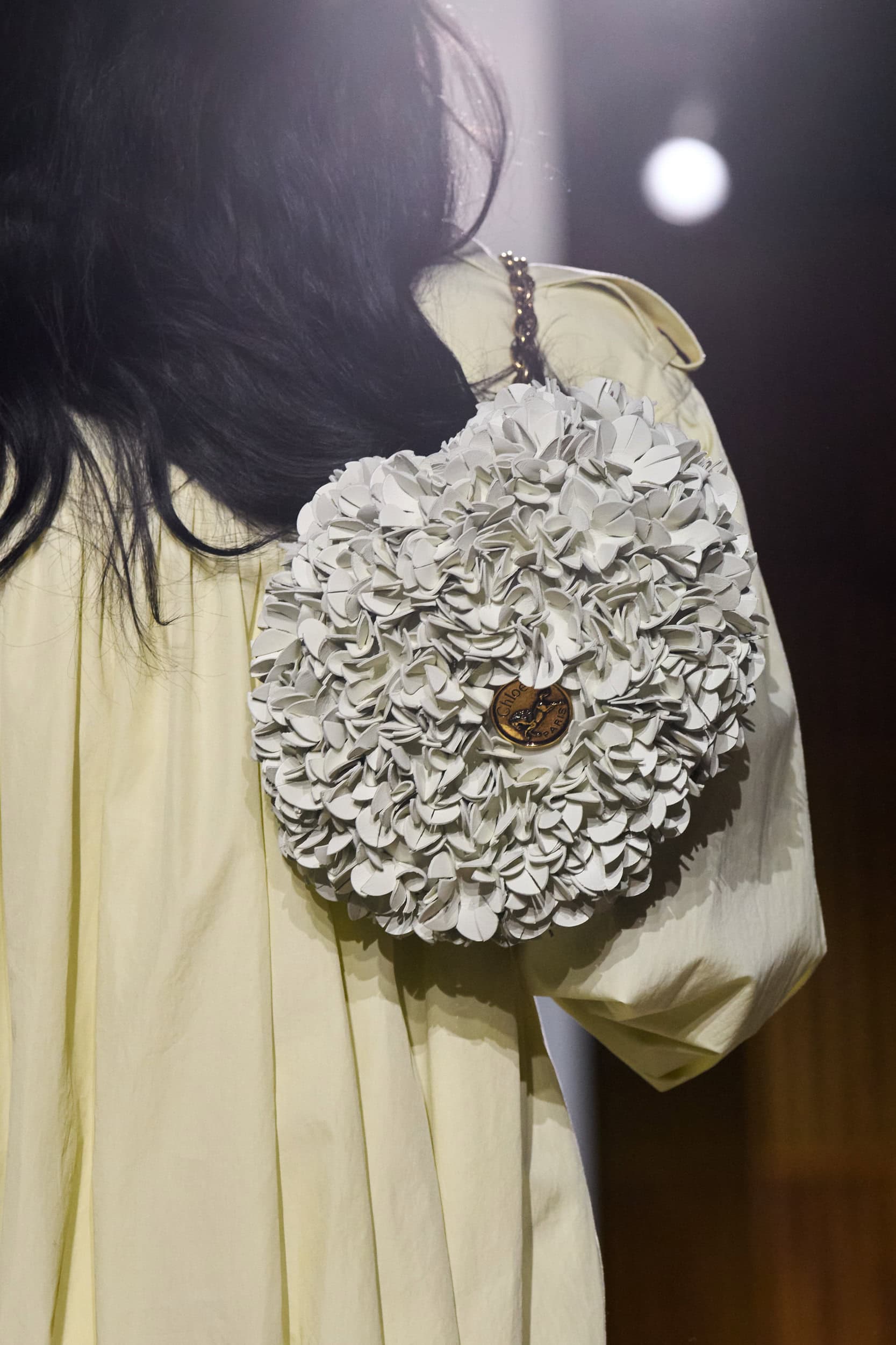 Chloe Spring 2026 Fashion Show Details