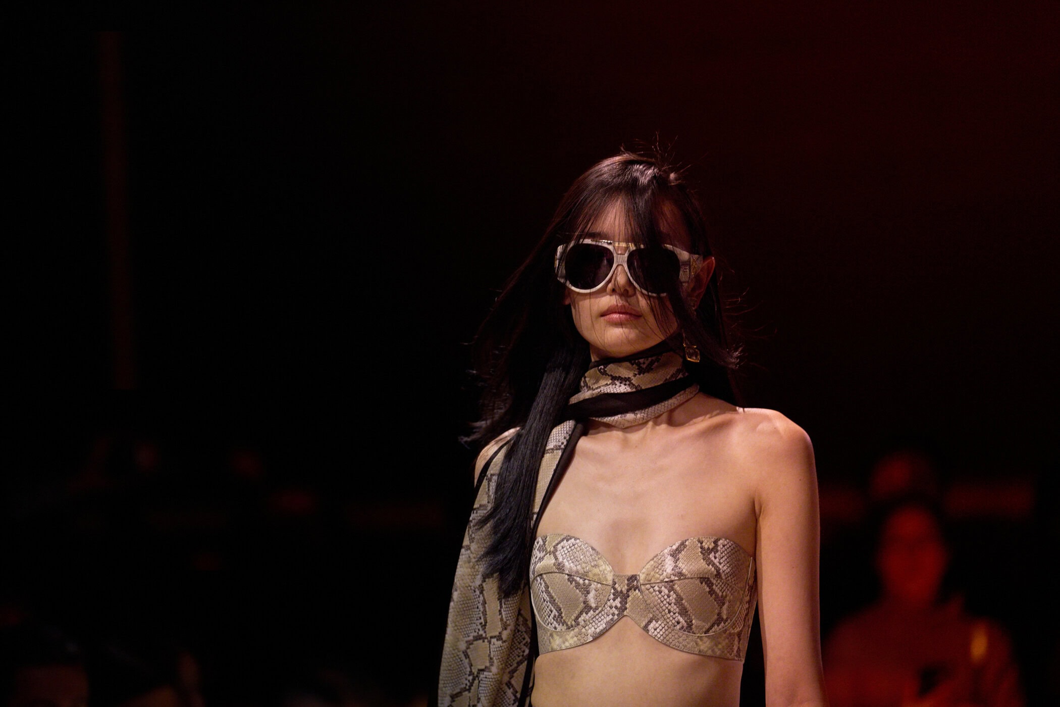 Elie Saab Spring 2026 Fashion Show Atmosphere