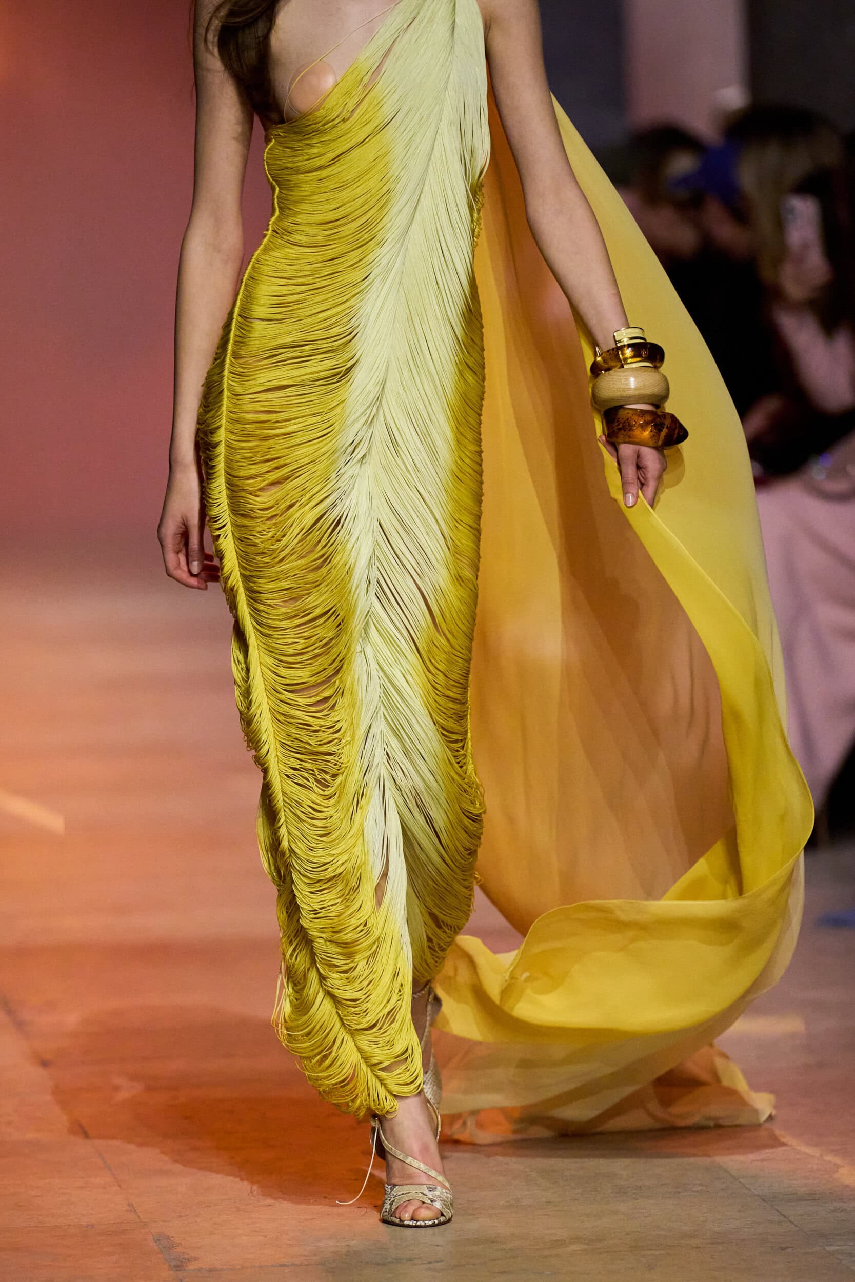 Elie Saab Spring 2026 Fashion Show Details